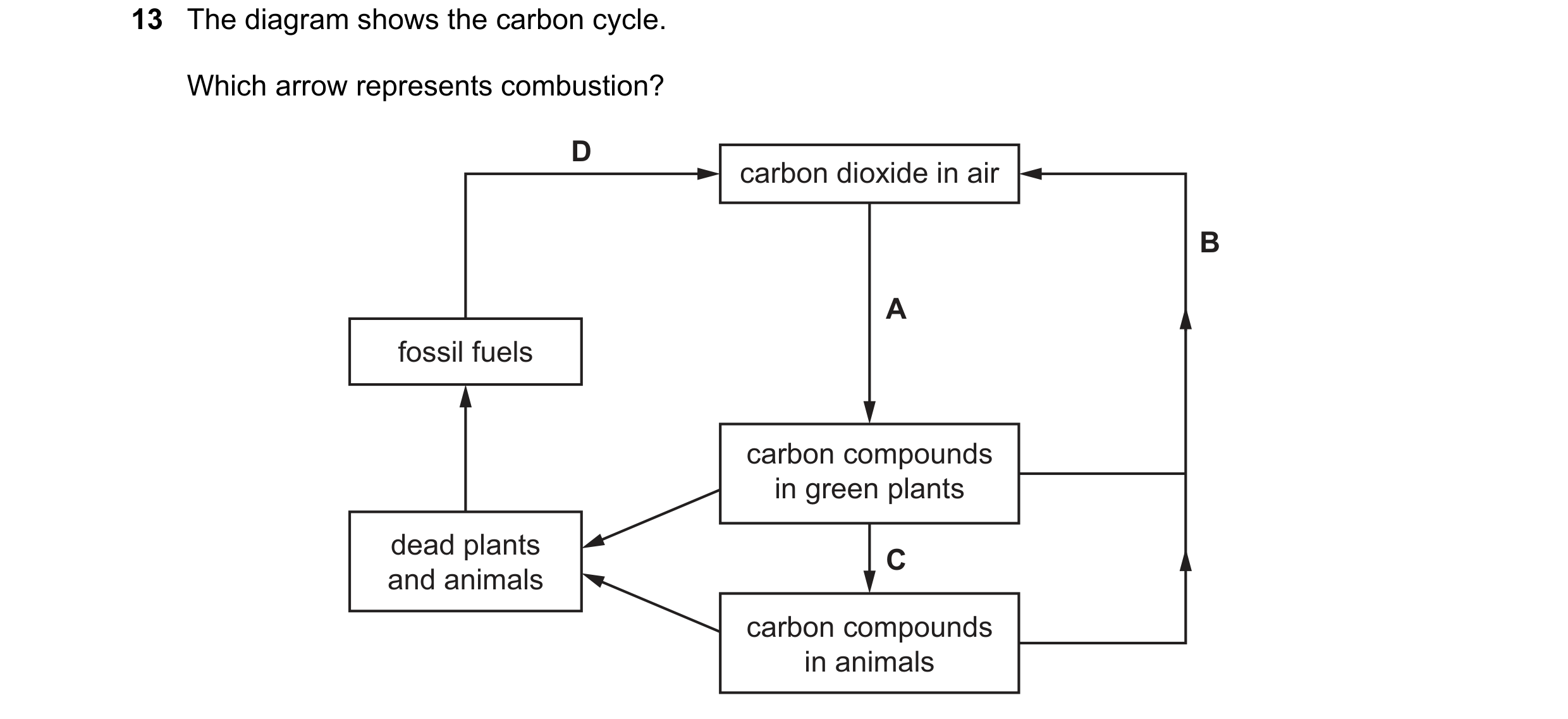 Question 17: The diagram shows the carbon cycle. Which arrow represents combustion? D carbon dioxide in air B A fossil fuels carbon compounds in green p…