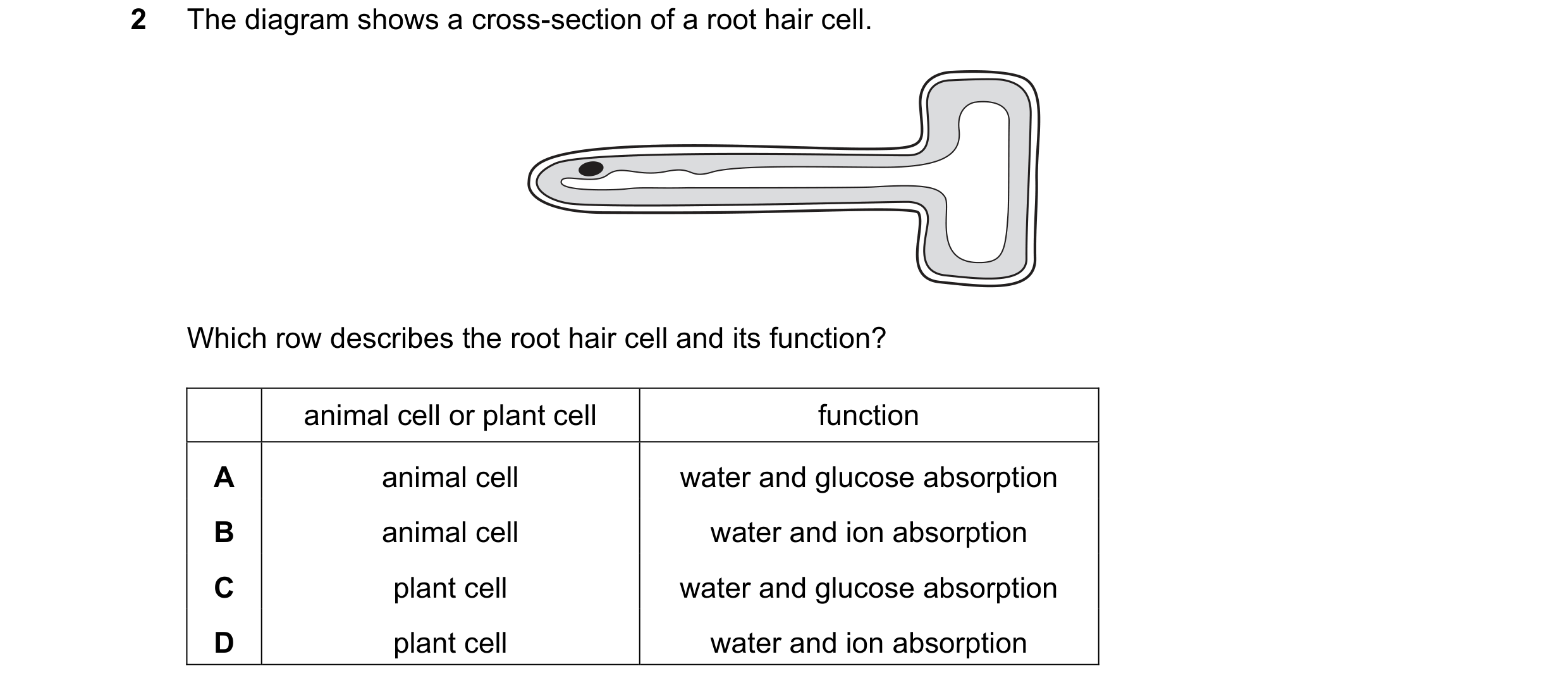 Question 43: The diagram shows a cross-section of a root hair cell. Which row describes the root hair cell and its function? animal cell or plant cell f…