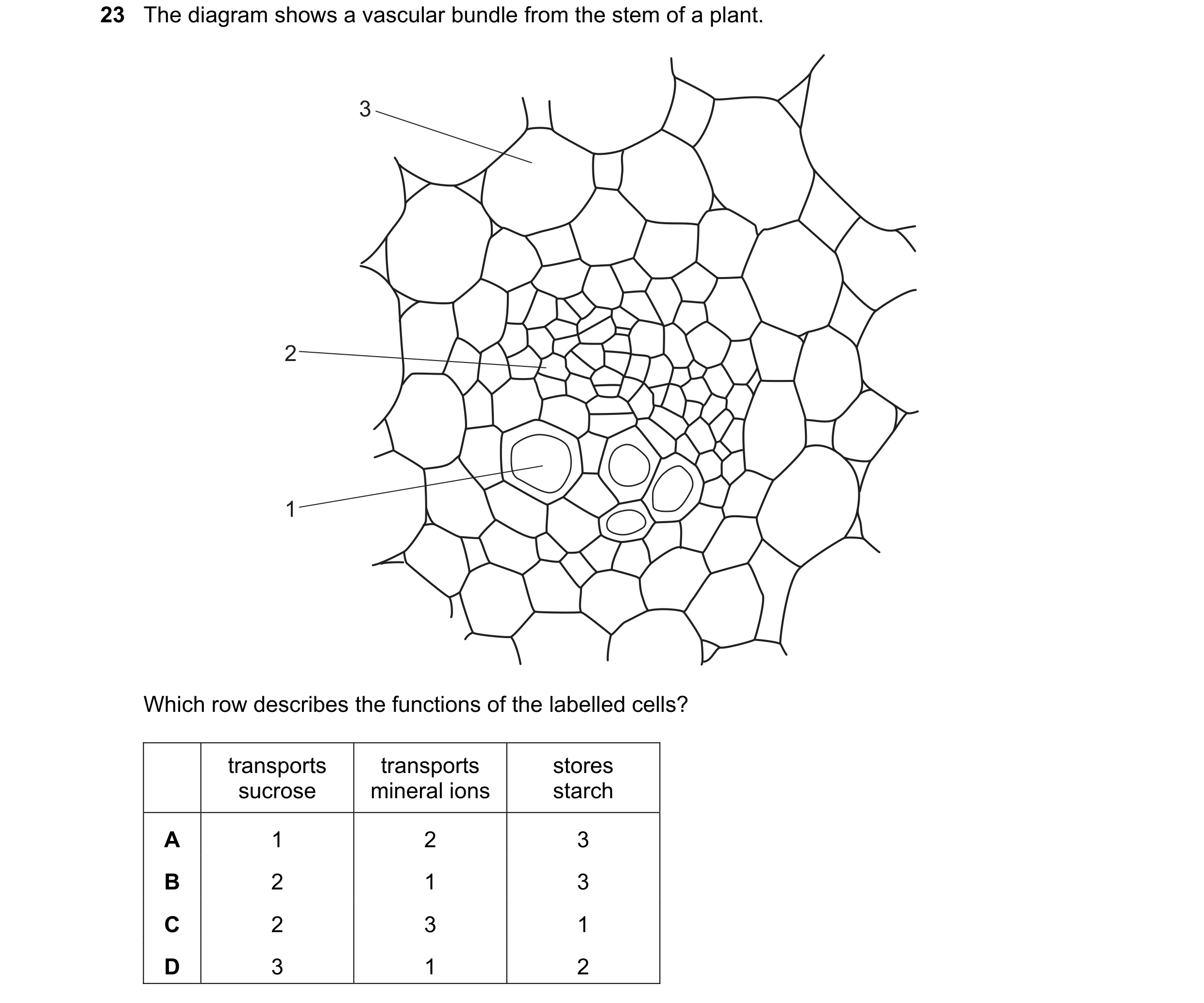 Question 85: The diagram shows a vascular bundle from the stem of a plant. 3 2 1 Which row describes the functions of the labelled cells? transports tra…