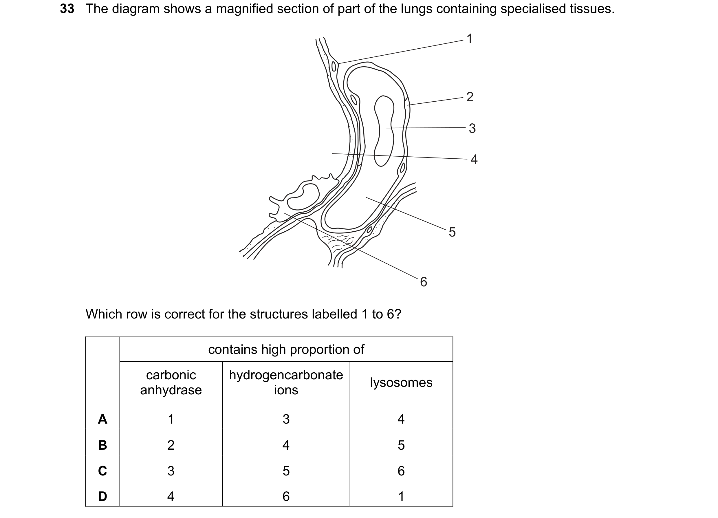 Question 209: The diagram shows a magnified section of part of the lungs containing specialised tissues. 1 2 3 4 5 6 Which row is correct for the structu…