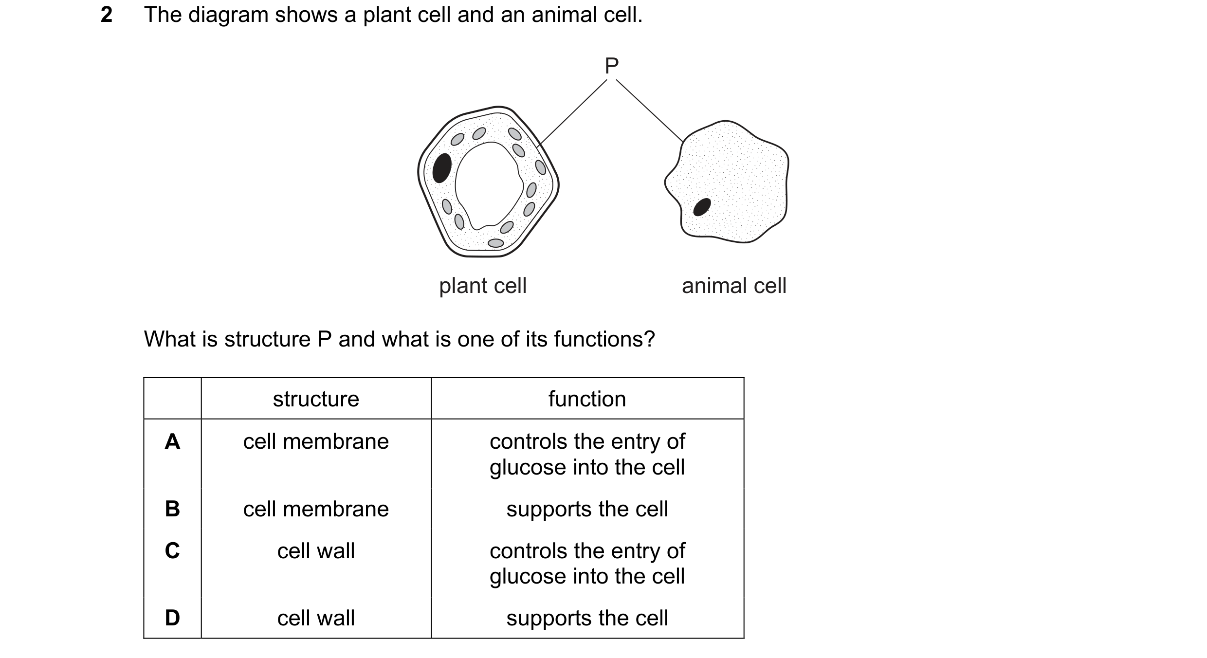 Question 4: The diagram shows a plant cell and an animal cell. P plant cell animal cell What is structure P and what is one of its functions? structure…
