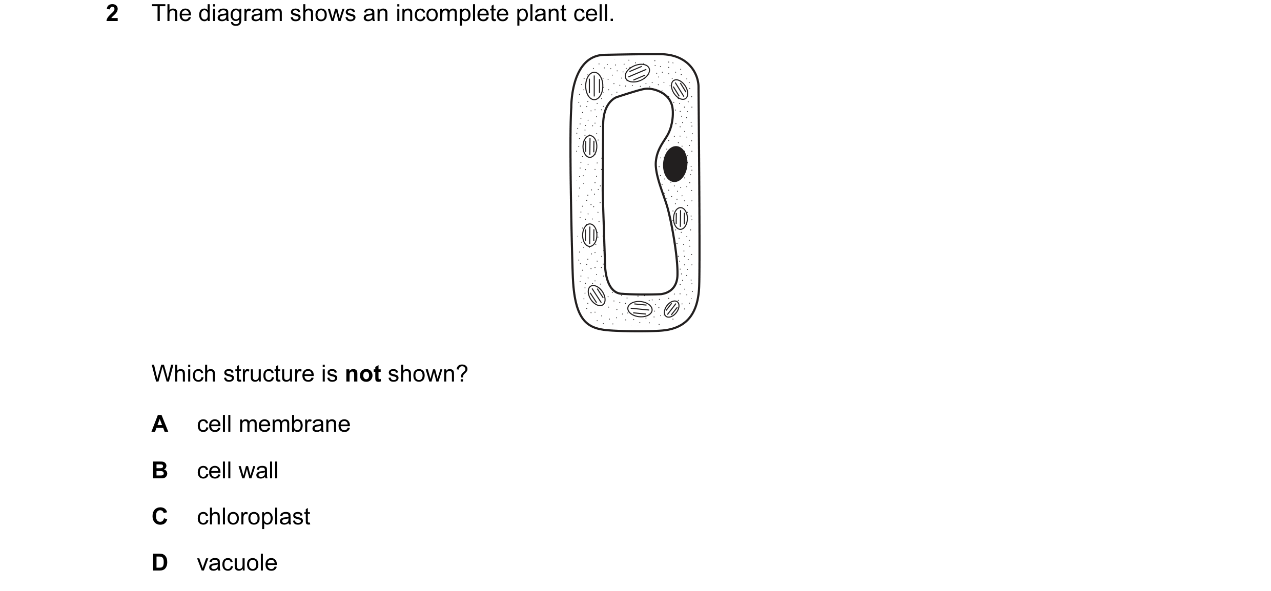 Question 2: The diagram shows an incomplete plant cell. Which structure is not shown? A cell membrane B cell wall C chloroplast D vacuole