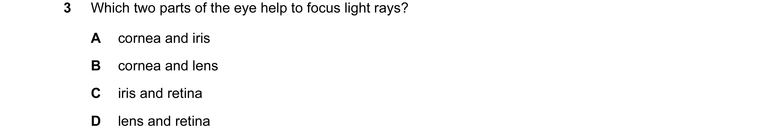 Question 4: Which two parts of the eye help to focus light rays? A cornea and iris B cornea and lens C iris and retina D lens and retina