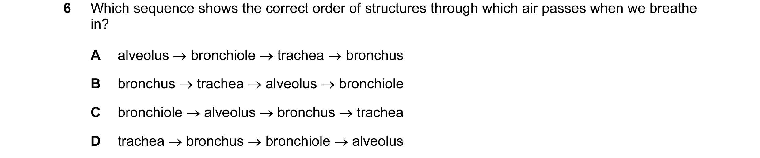 Question 2: Which sequence shows the correct order of structures through which air passes when we breathe in? A alveolus → bronchiole → trachea → bronc…