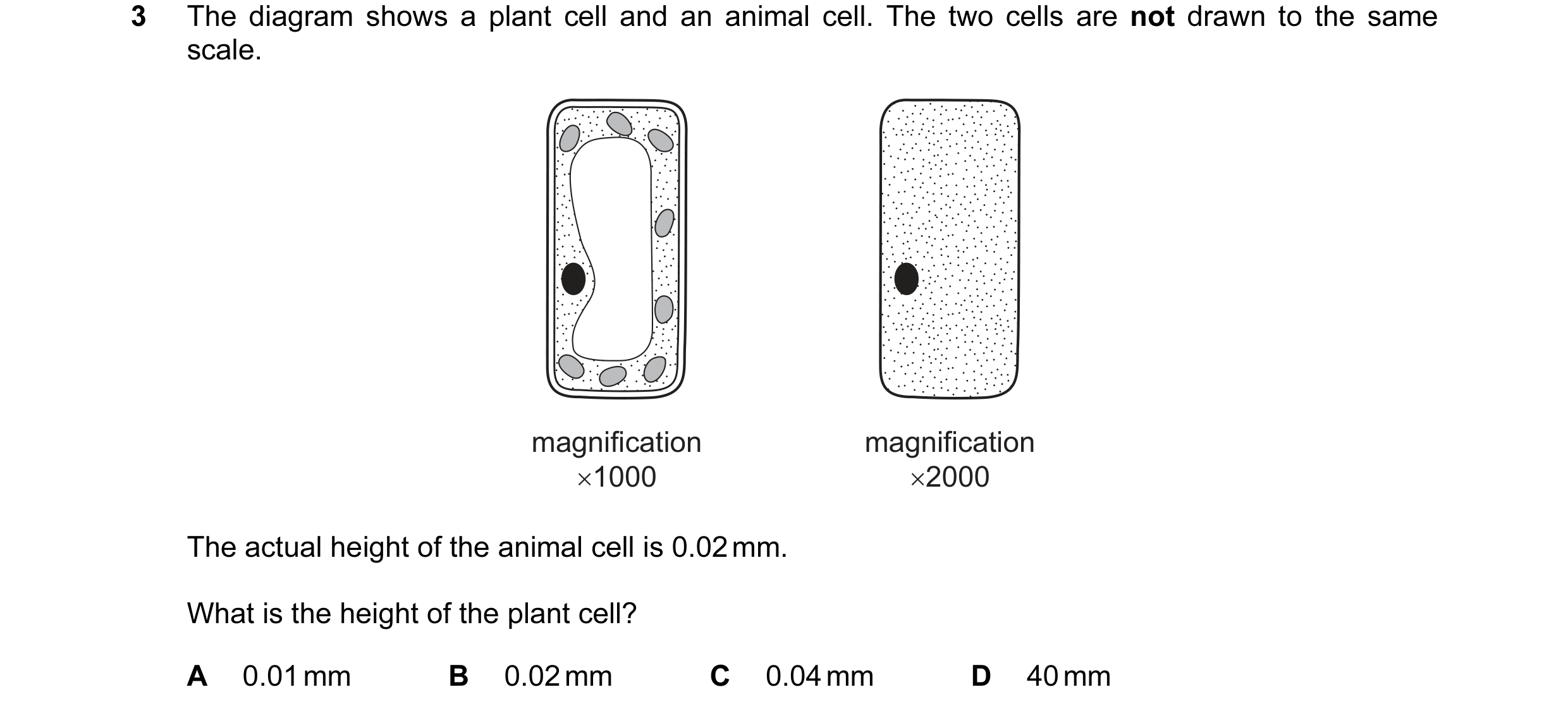 Question 1: The diagram shows a plant cell and an animal cell. The two cells are not drawn to the same scale. magnification magnification ×1000 ×2000 T…
