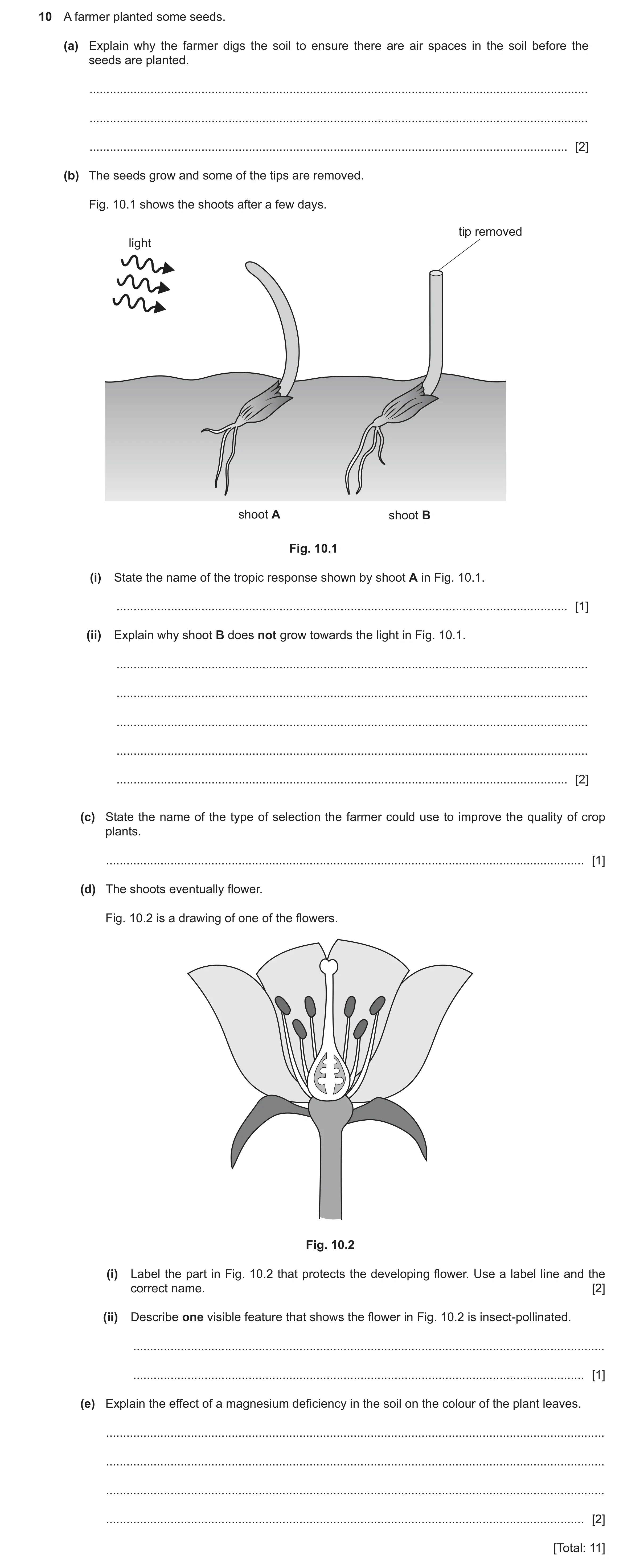 Question 14: A farmer planted some seeds. (a) Explain why the farmer digs the soil to ensure there are air spaces in the soil before the seeds are plant…