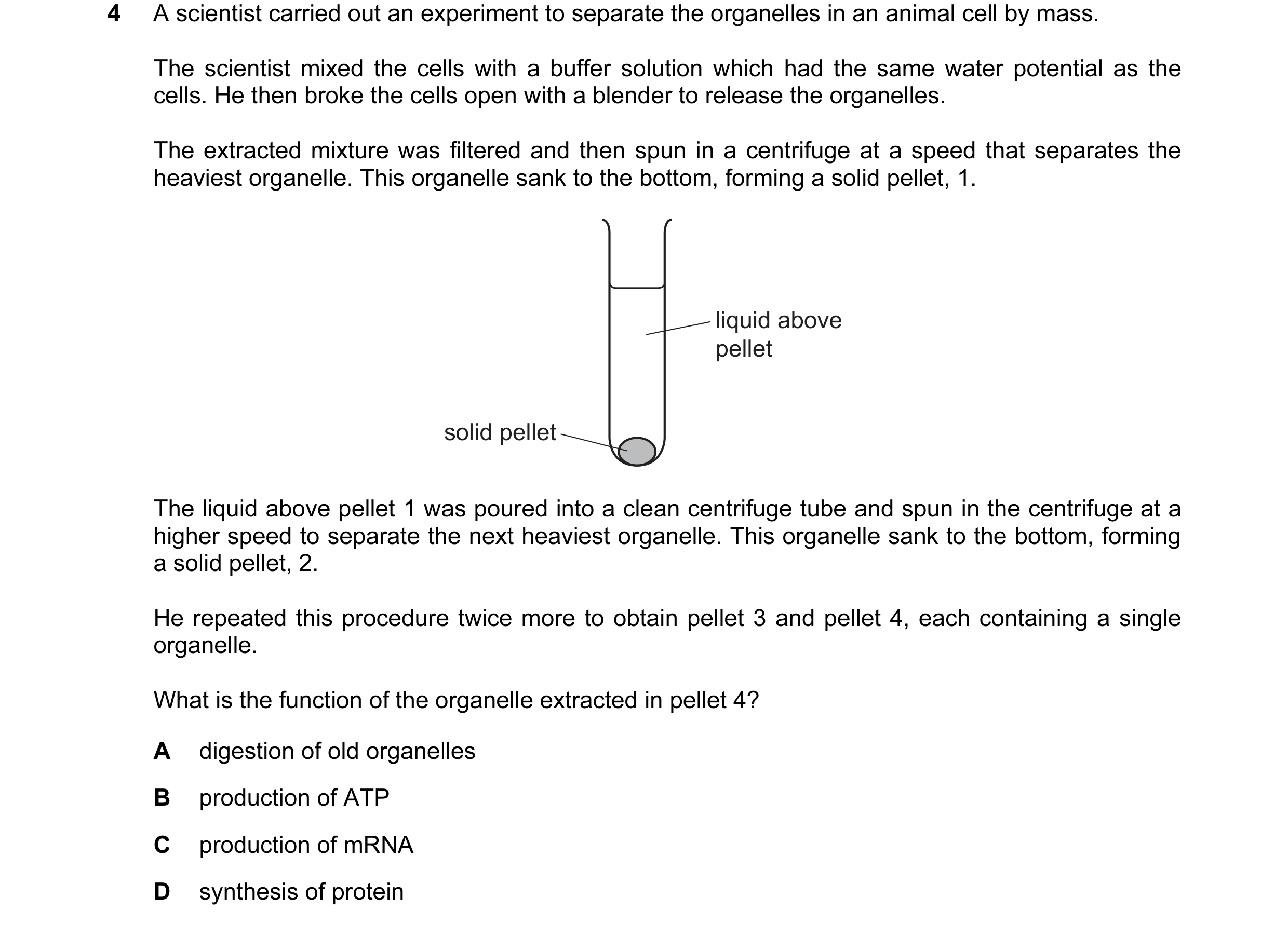 Question 148: A scientist carried out an experiment to separate the organelles in an animal cell by mass. The scientist mixed the cells with a buffer sol…