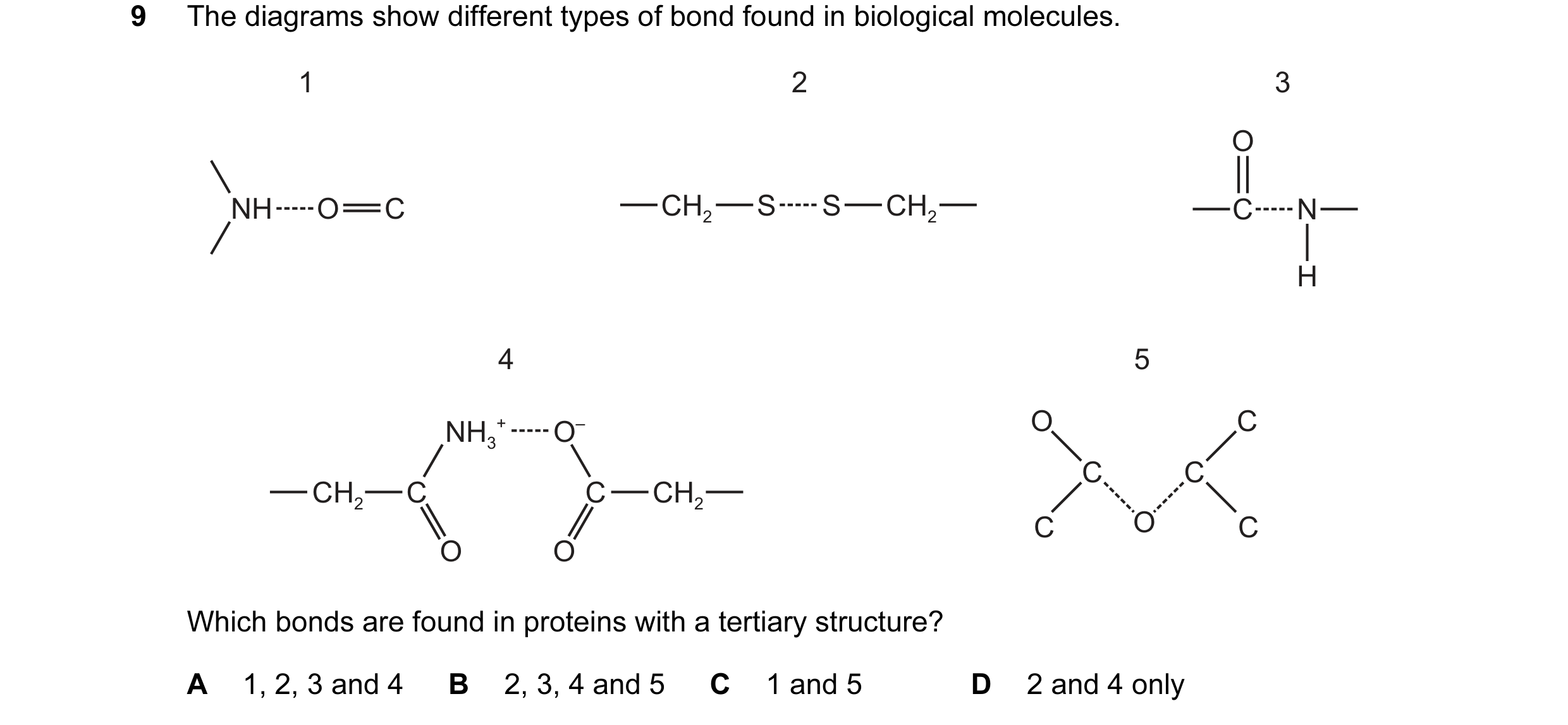 Question 106: The diagrams show different types of bond found in biological molecules. 1 2 3 O NH O C CH2 S S CH2 C N H 4 5 NH3 + O– O C C C CH2 C C CH2 …