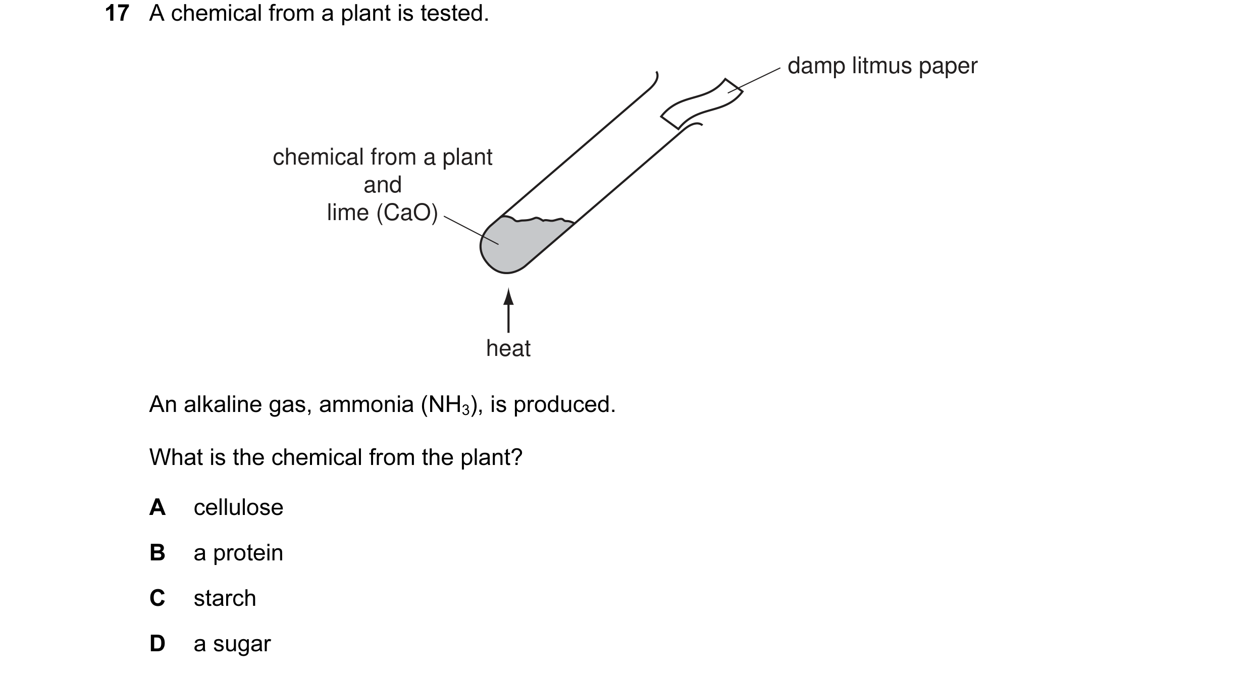 Question 4: A chemical from a plant is tested. damp litmus paper chemical from a plant and lime (CaO) heat An alkaline gas, ammonia (NH3), is produced.…