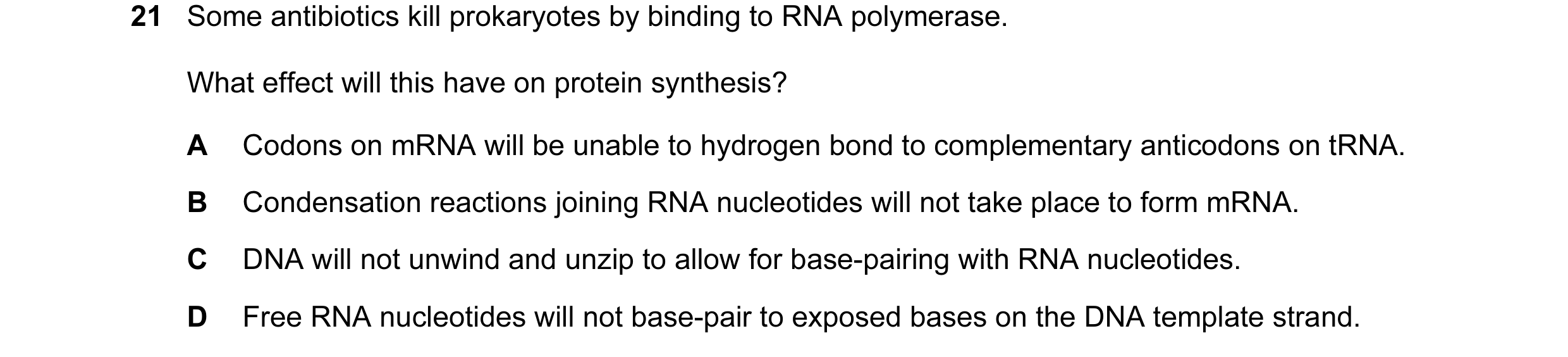 Question 25: Some antibiotics kill prokaryotes by binding to RNA polymerase. What effect will this have on protein synthesis? A Codons on mRNA will be u…
