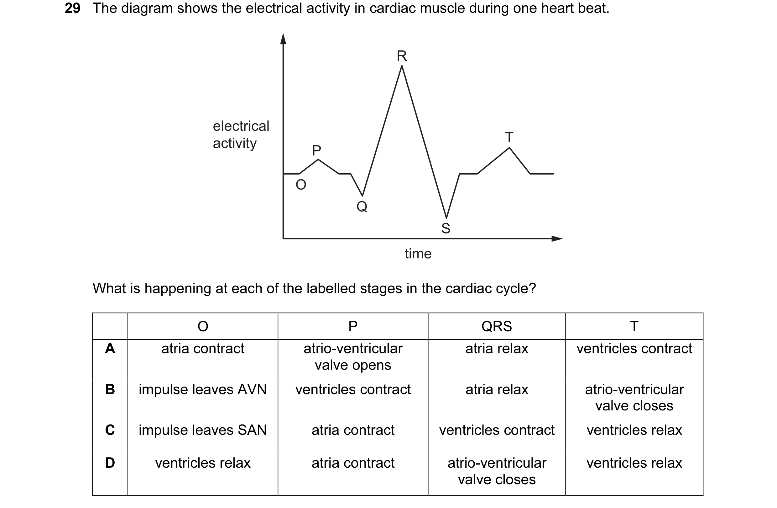 Question 56: The diagram shows the electrical activity in cardiac muscle during one heart beat. R electrical activity T P O Q S time What is happening a…