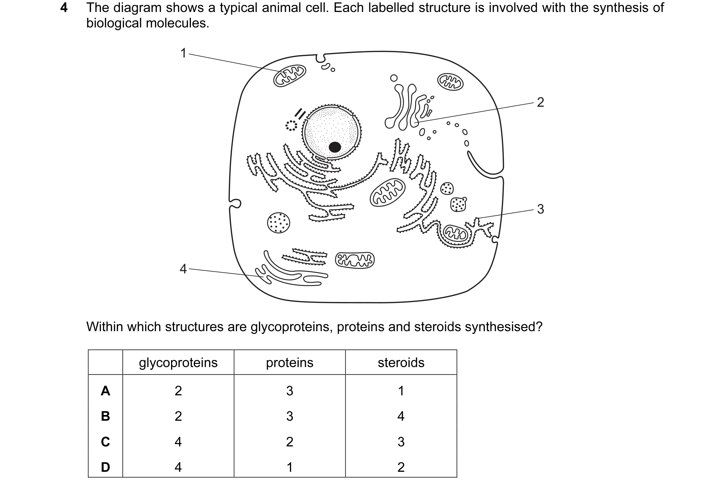 Question 137: The diagram shows a typical animal cell. Each labelled structure is involved with the synthesis of biological molecules. 1 2 3 4 Within whi…
