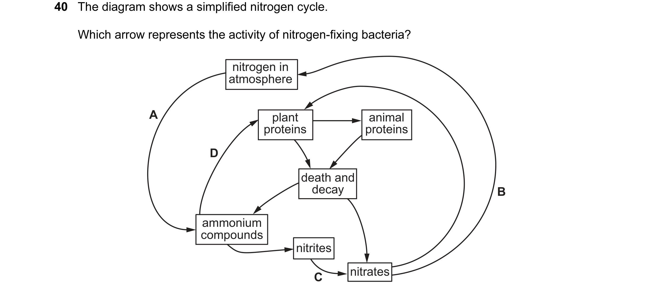 Question 68: The diagram shows a simplified nitrogen cycle. Which arrow represents the activity of nitrogen-fixing bacteria? nitrogen in atmosphere A pl…