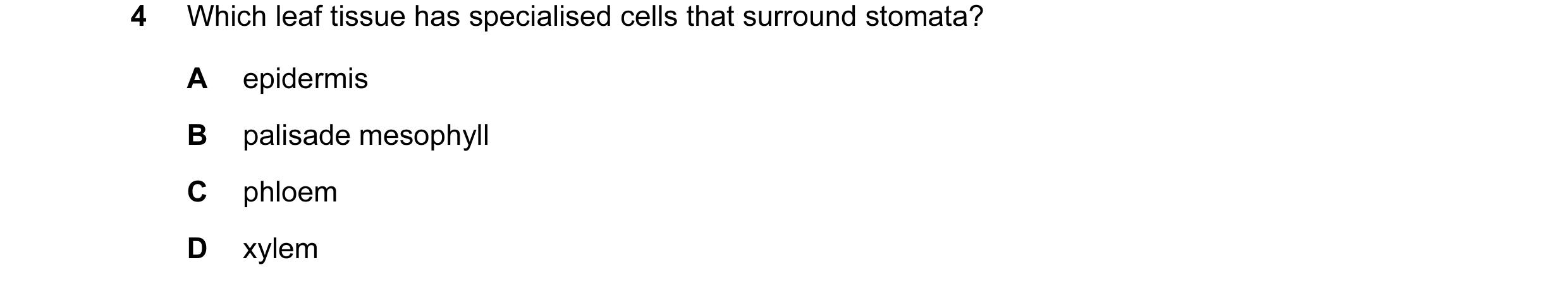 Question 14: Which leaf tissue has specialised cells that surround stomata? A epidermis B palisade mesophyll C phloem D xylem