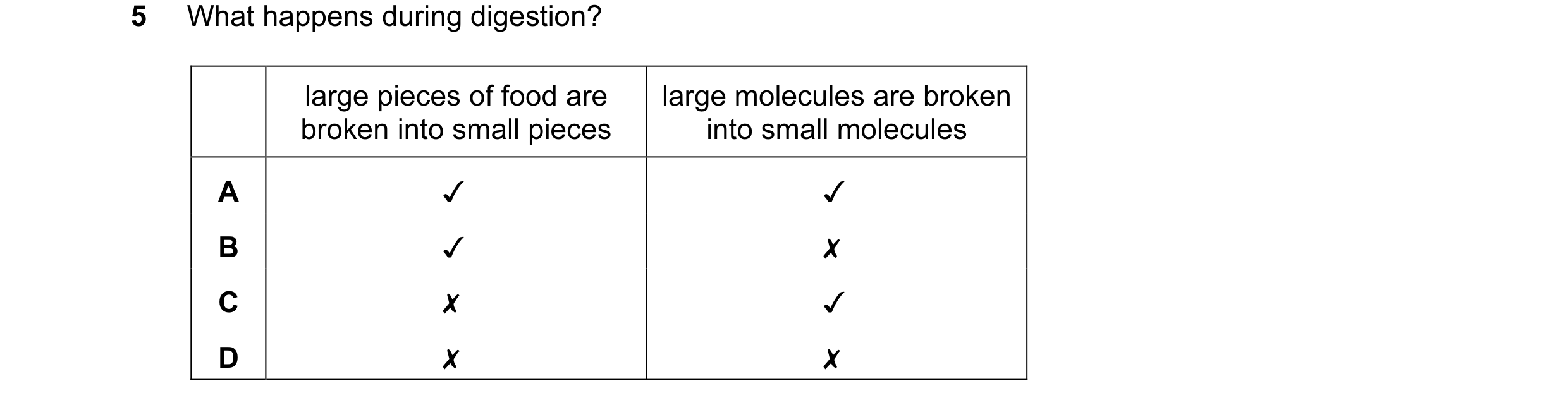 Question 6: What happens during digestion?
large pieces of food are
broken into small pieces
large molecules are broken
into small molecules
0 0O Ww…