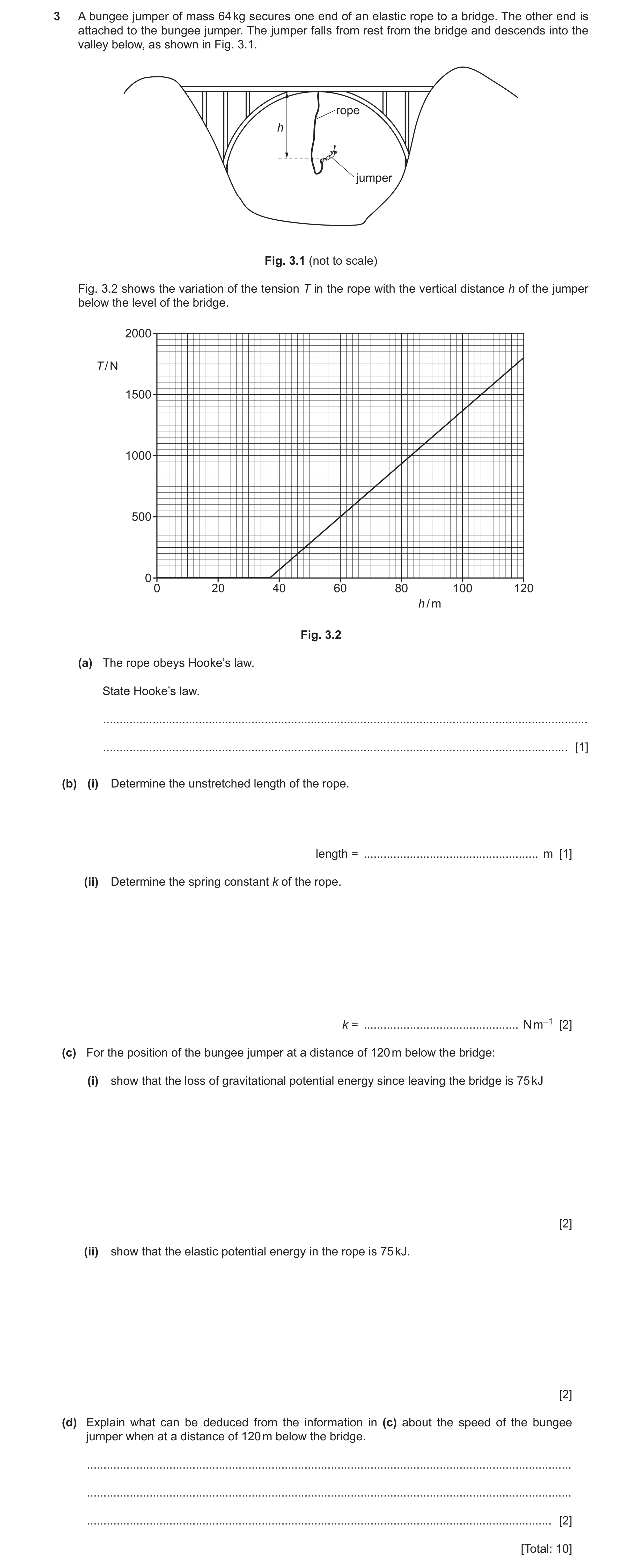 Question 21: A bungee jumper of mass 64 kg secures one end of an elastic rope to a bridge. The other end is attached to the bungee jumper. The jumper fa…