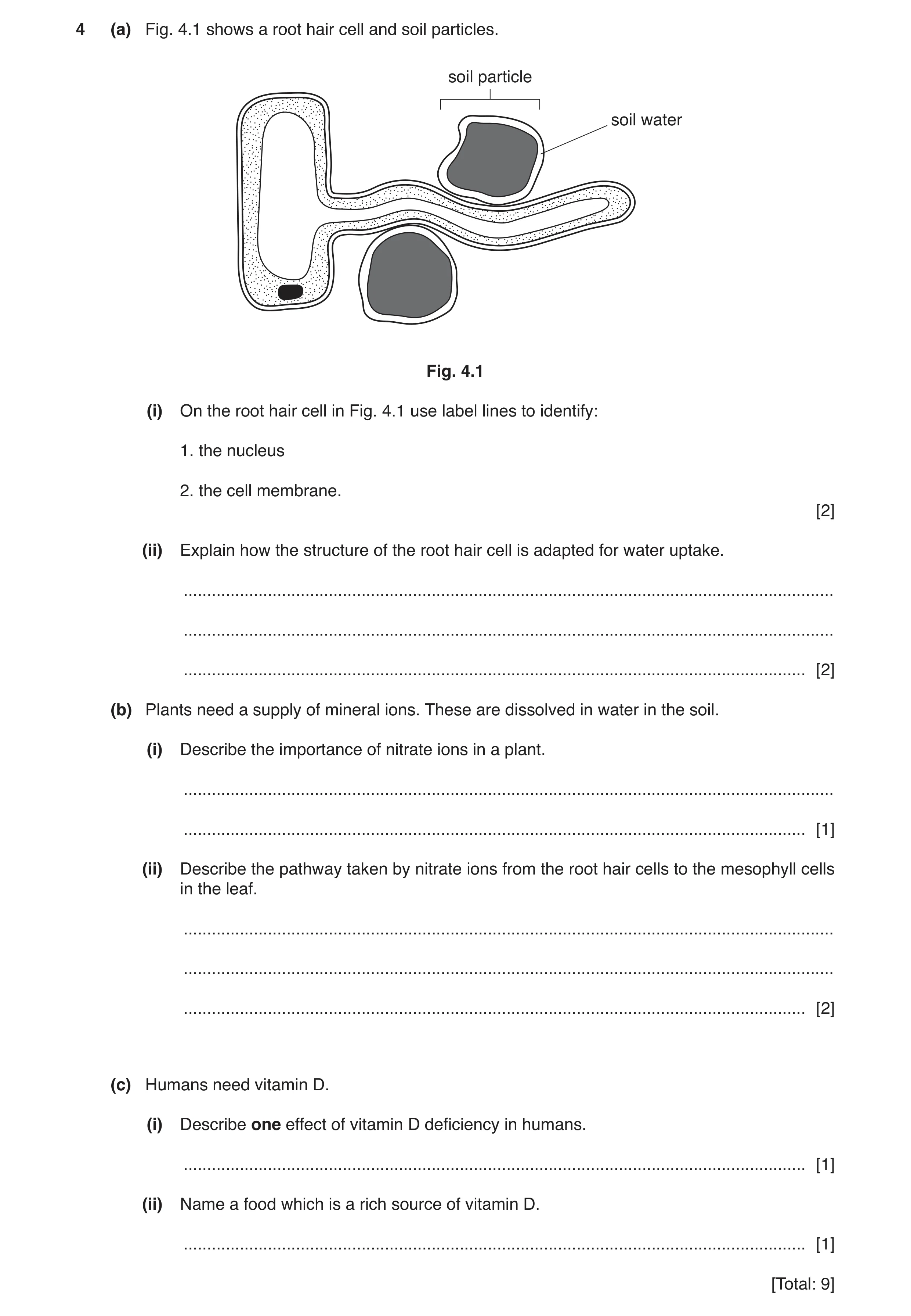 Question 5: (a) Fig. 4.1 shows a root hair cell and soil particles. soil particle soil water Fig. 4.1 (i) On the root hair cell in Fig. 4.1 use label l…