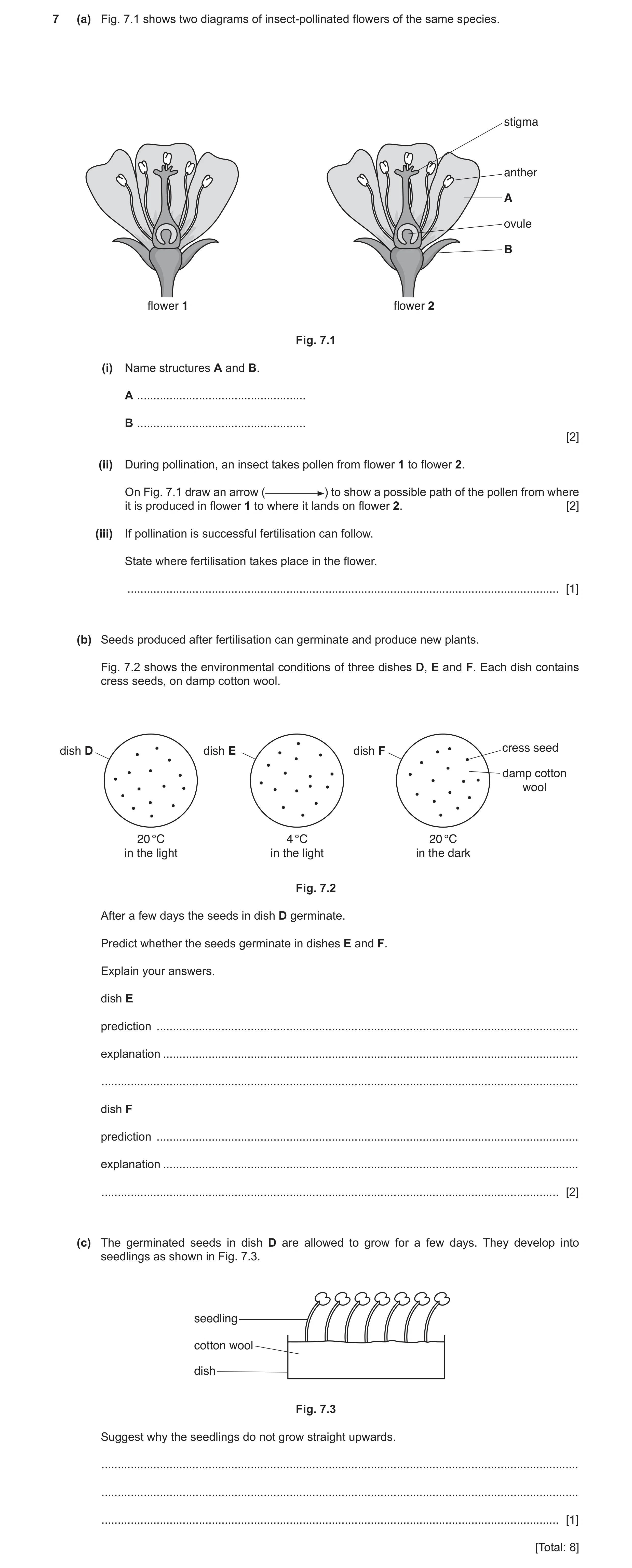 Question 7: (a) Fig. 7.1 shows two diagrams of insect-pollinated flowers of the same species. stigma anther A ovule B flower 1 flower 2 Fig. 7.1 (i) Na…