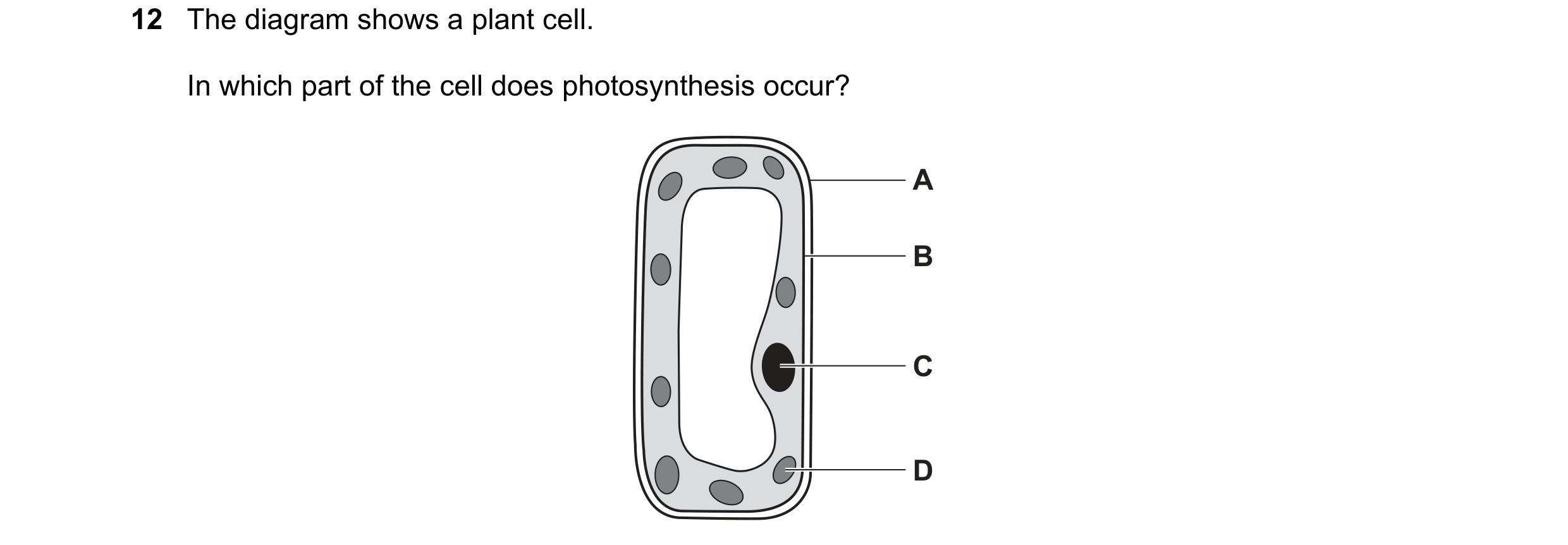 Question 22: The diagram shows a plant cell. In which part of the cell does photosynthesis occur? A B C D