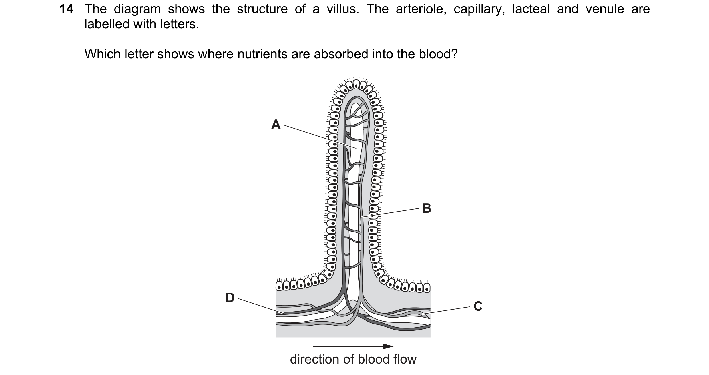 Question 1: The diagram shows the structure of a villus. The arteriole, capillary, lacteal and venule are labelled with letters. Which letter shows whe…