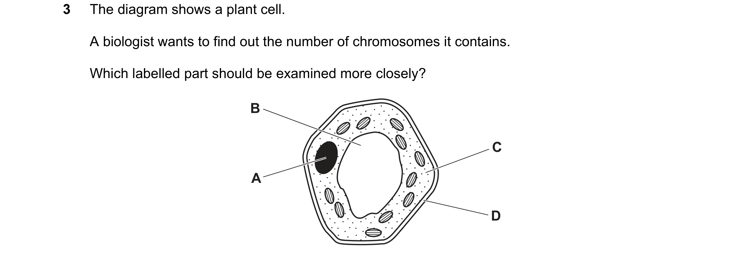 Question 12: The diagram shows a plant cell. A biologist wants to find out the number of chromosomes it contains. Which labelled part should be examined…