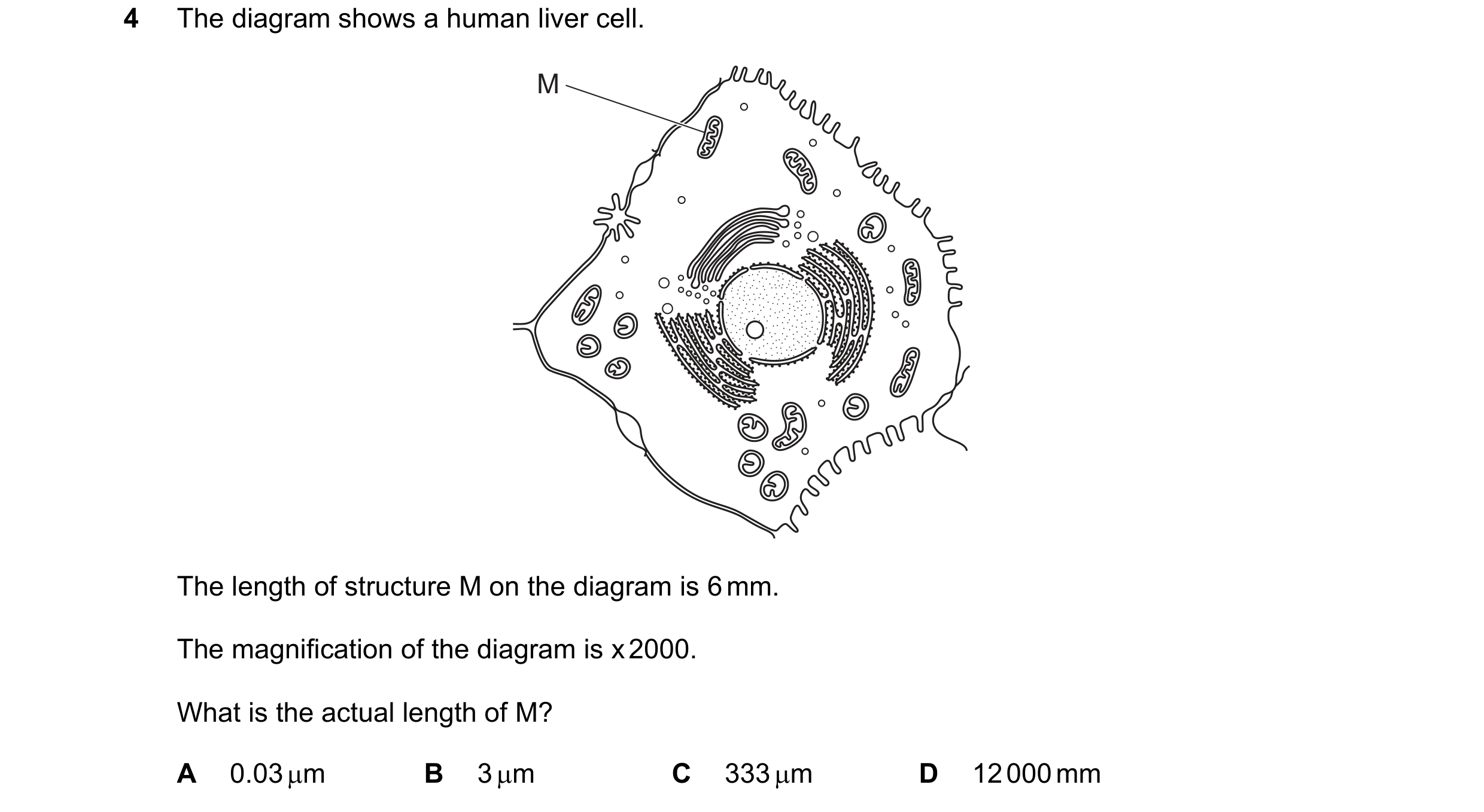 Question 3: The diagram shows a human liver cell. M The length of structure M on the diagram is 6 mm. The magnification of the diagram is x 2000. What …