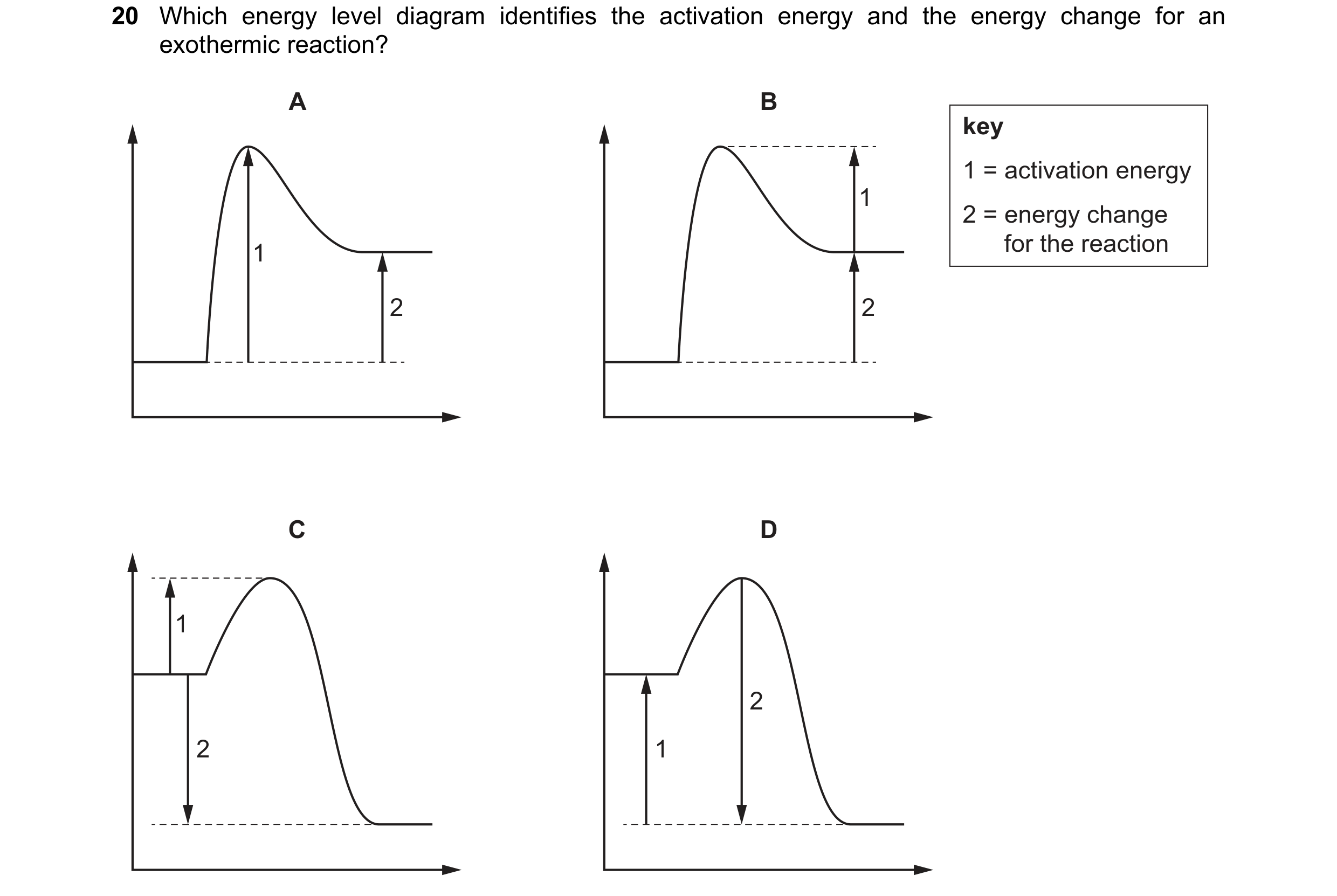 Question 19: Which energy level diagram identifies the activation energy and the energy change for an exothermic reaction? A B key 1 = activation energy…
