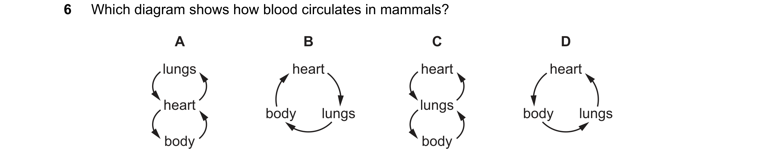 Question 8: Which diagram shows how blood circulates in mammals? A B C D lungs heart heart heart heart lungs body lungs body lungs body body