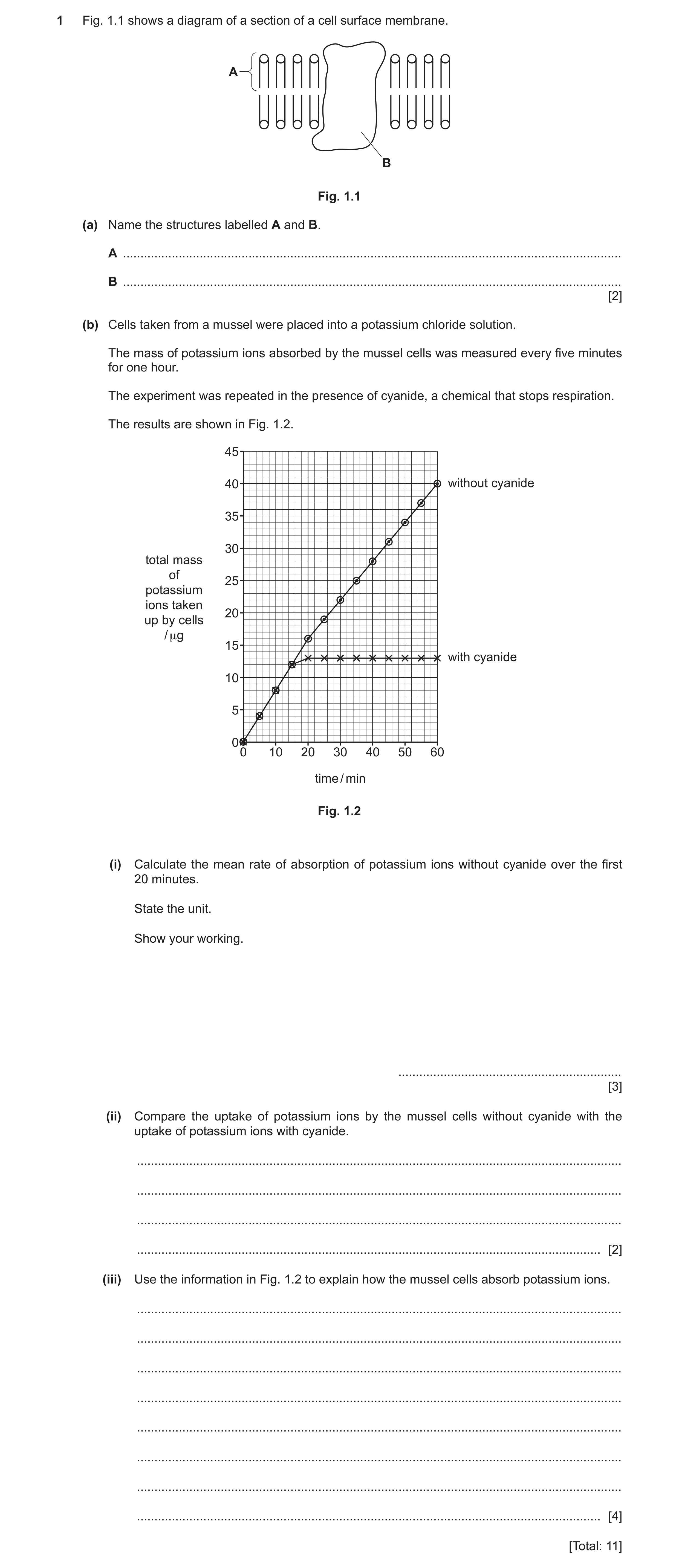 Question 7: Fig. 1.1 shows a diagram of a section of a cell surface membrane. A B Fig. 1.1 (a) Name the structures labelled A and B. A ................…