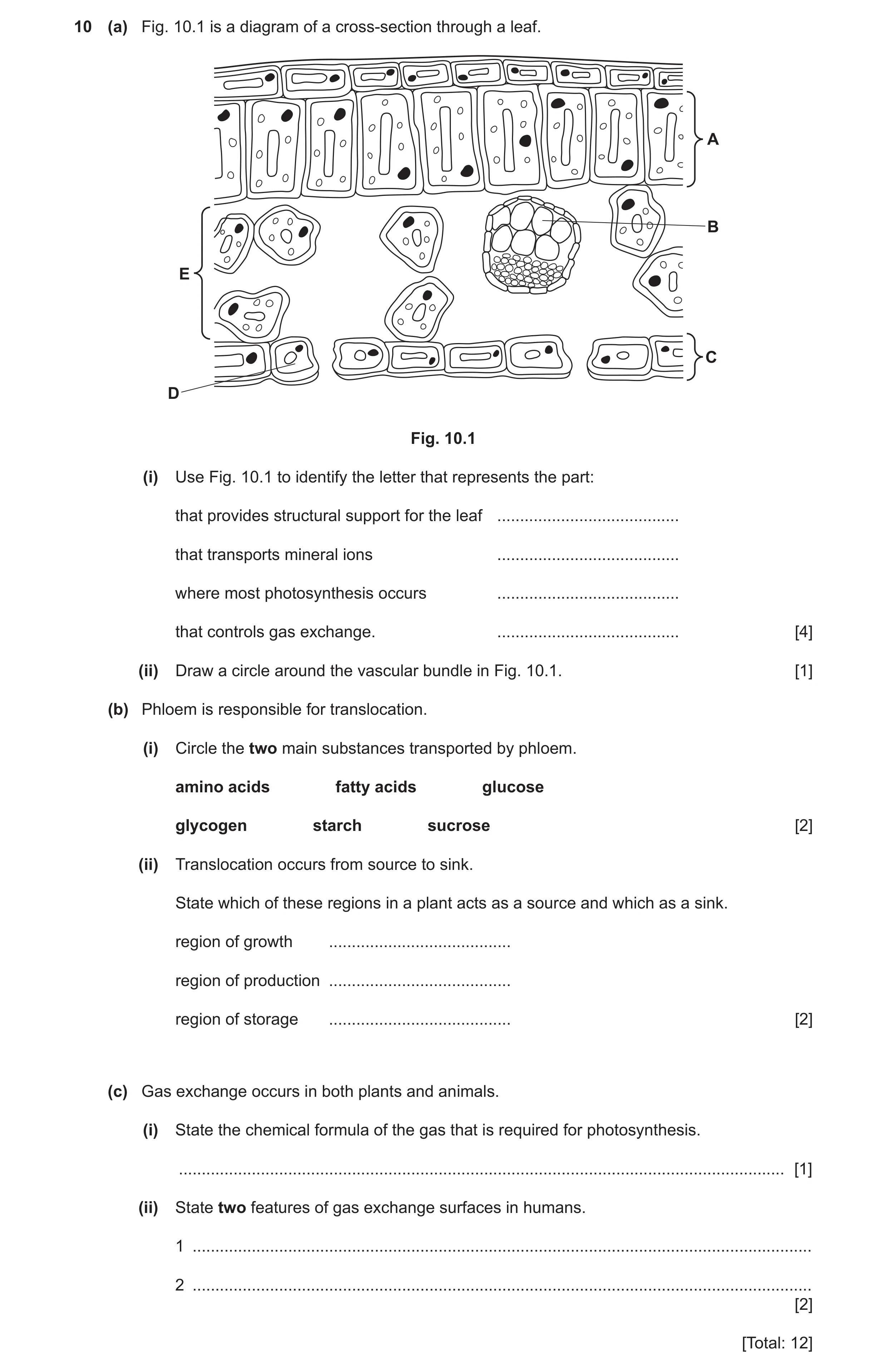 Question 10: (a) Fig. 10.1 is a diagram of a cross-section through a leaf. A B E C D Fig. 10.1 (i) Use Fig. 10.1 to identify the letter that represents …