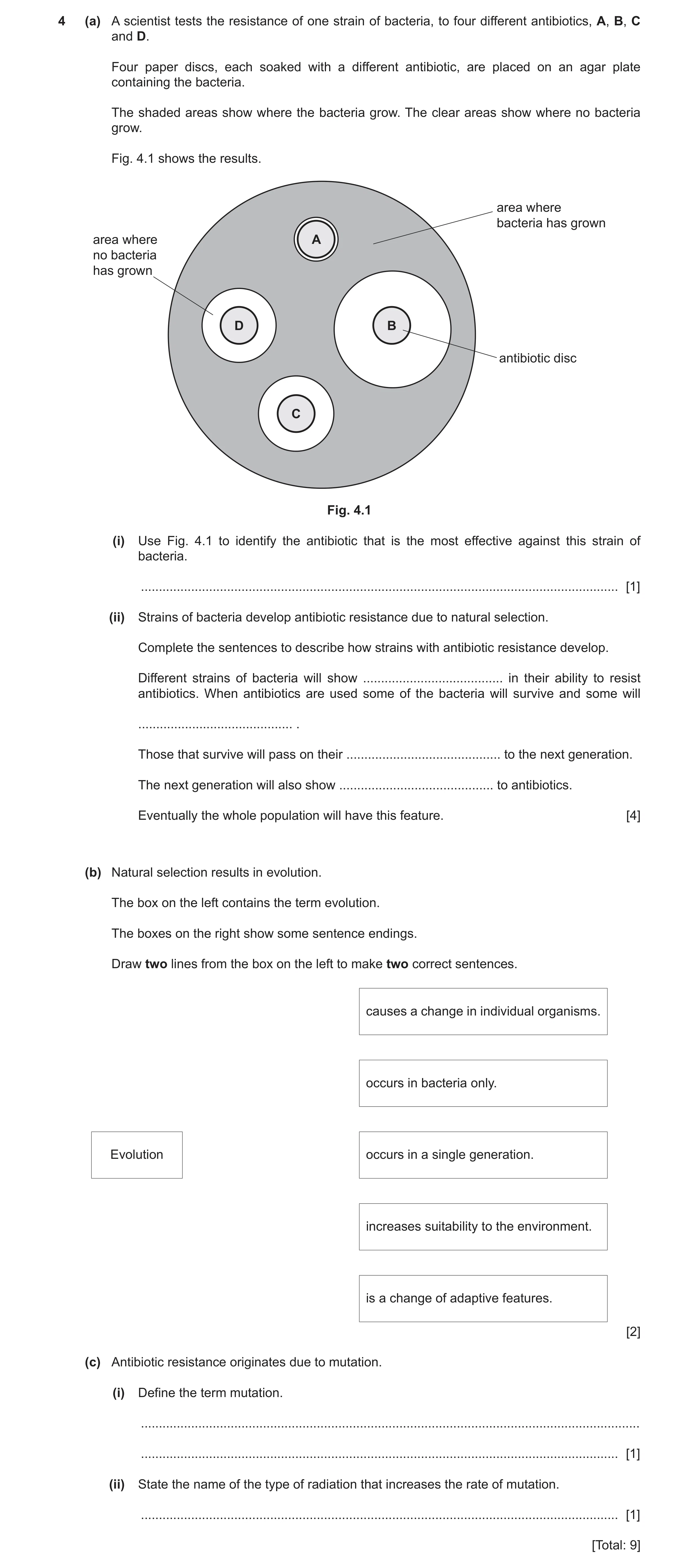 Question 10: (a) A scientist tests the resistance of one strain of bacteria, to four different antibiotics, A, B, C and D. Four paper discs, each soaked…