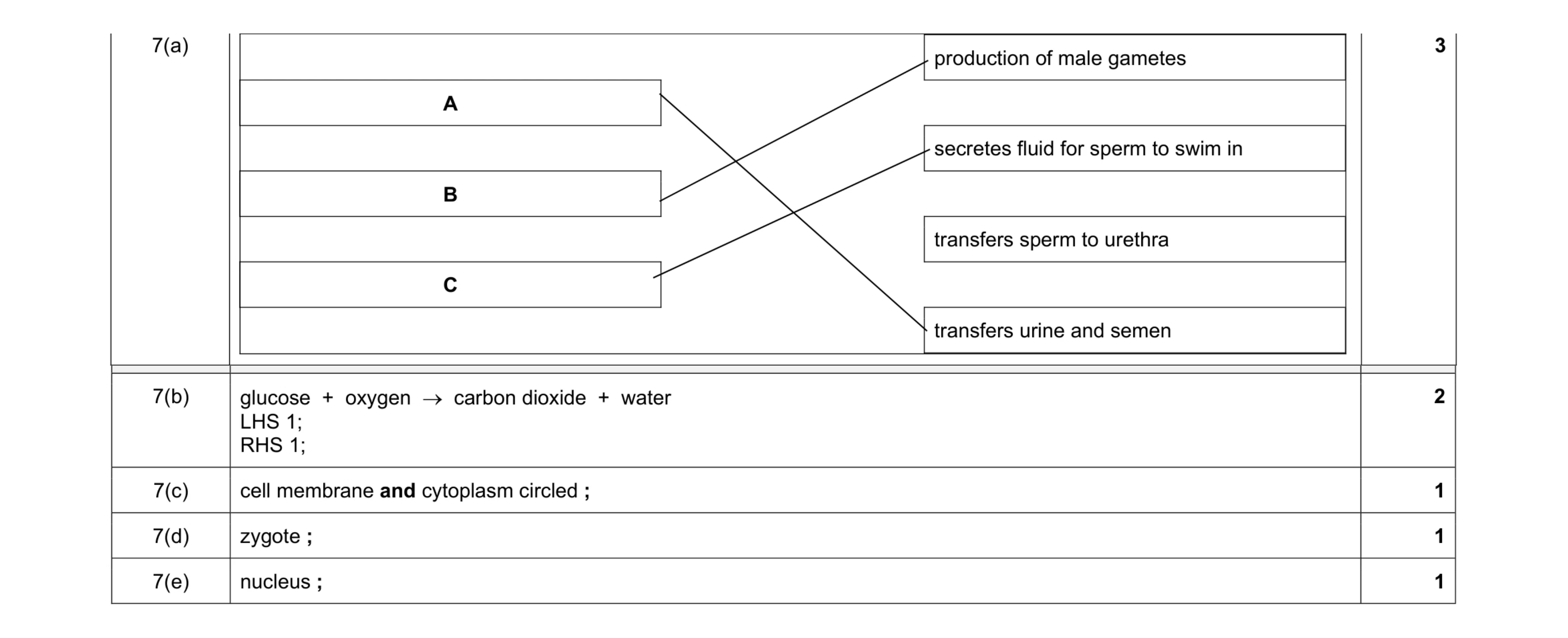 Mark scheme for question 15