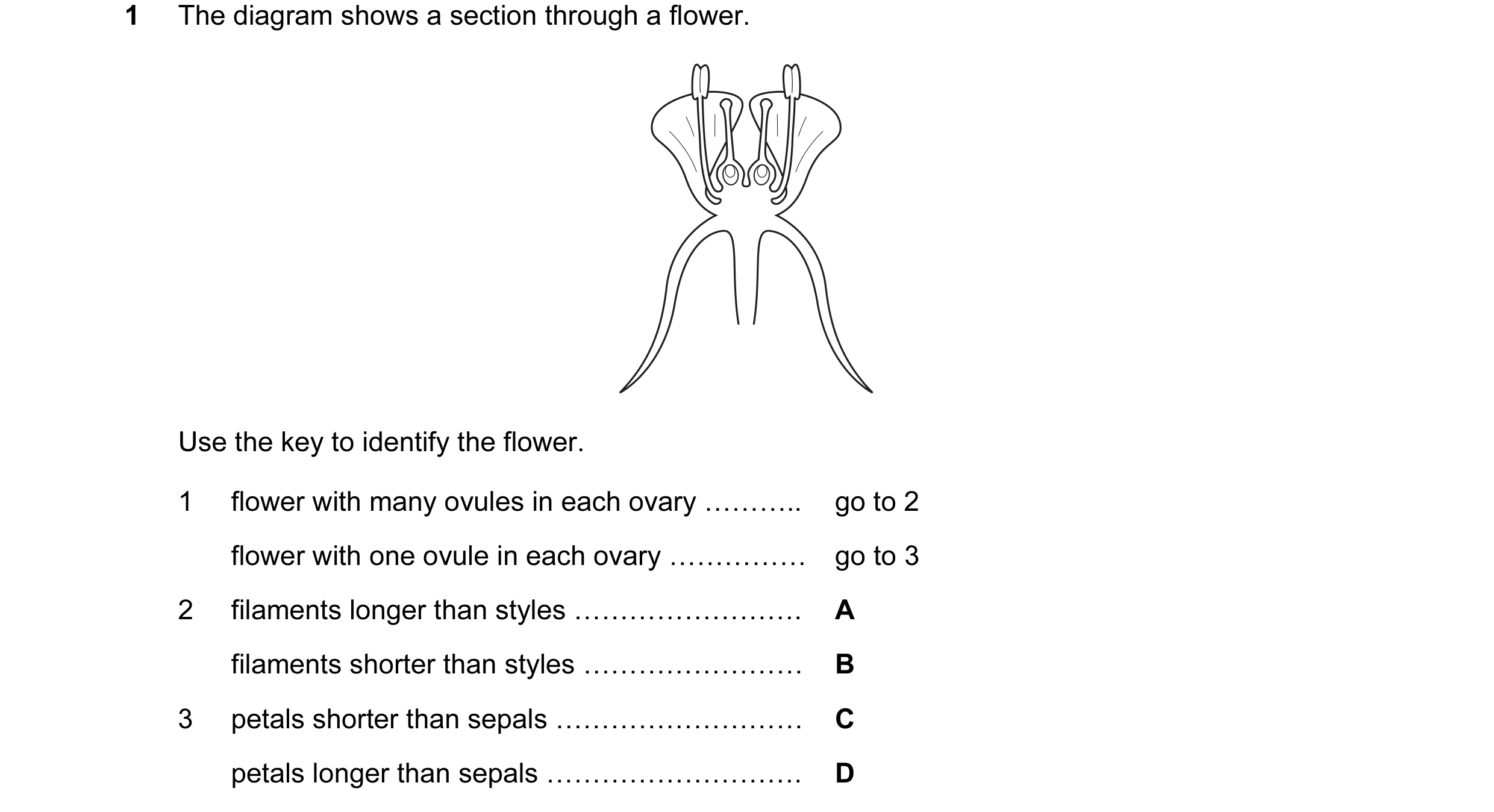 Question 6: The diagram shows a section through a flower. Use the key to identify the flower. 1 flower with many ovules in each ovary ……….. go to 2 flo…