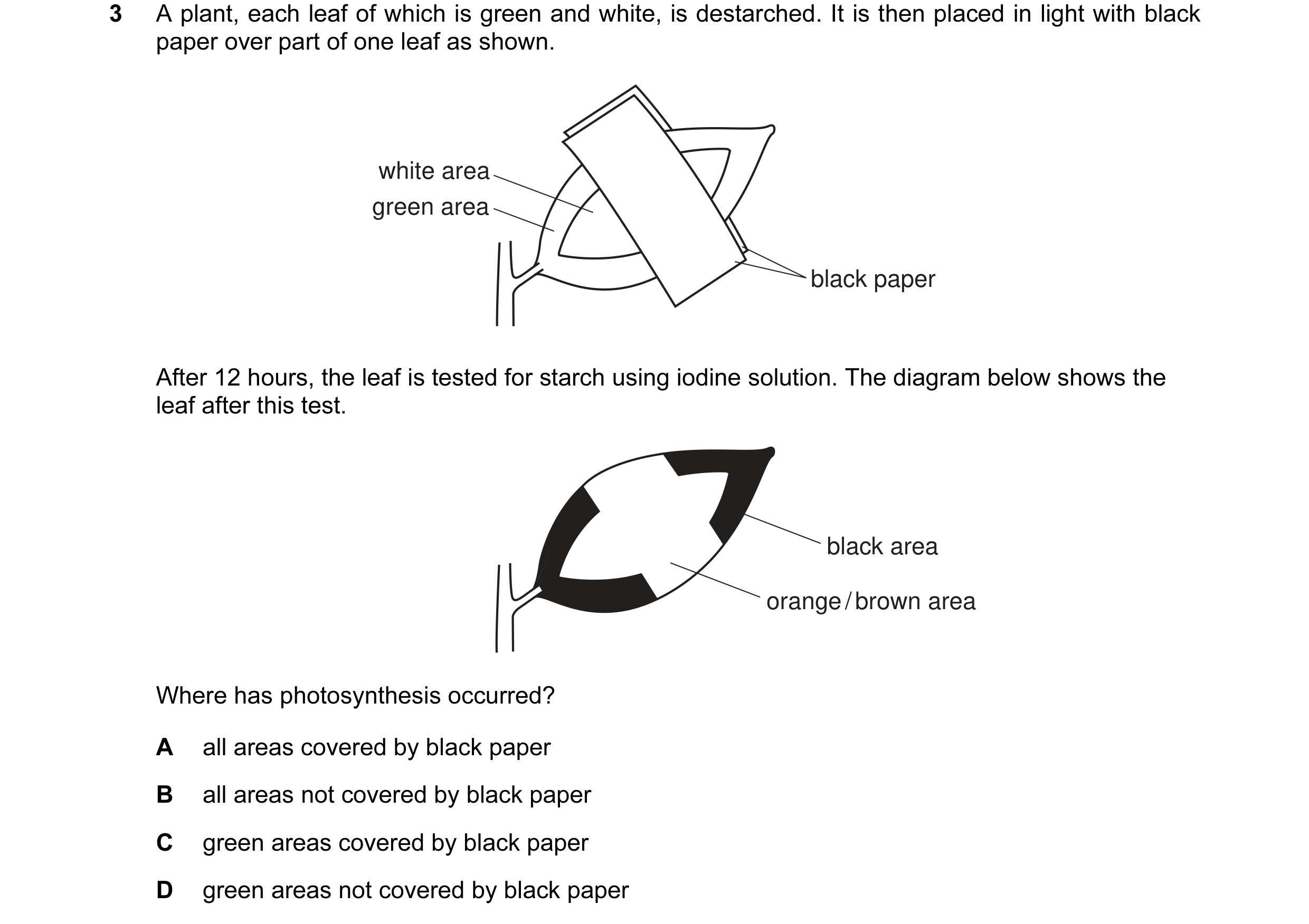 Question 8: A plant, each leaf of which is green and white, is destarched. It is then placed in light with black paper over part of one leaf as shown. …