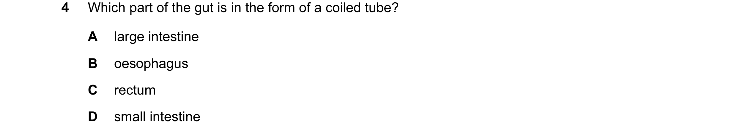 Question 5: Which part of the gut is in the form of a coiled tube? A large intestine B oesophagus C rectum D small intestine