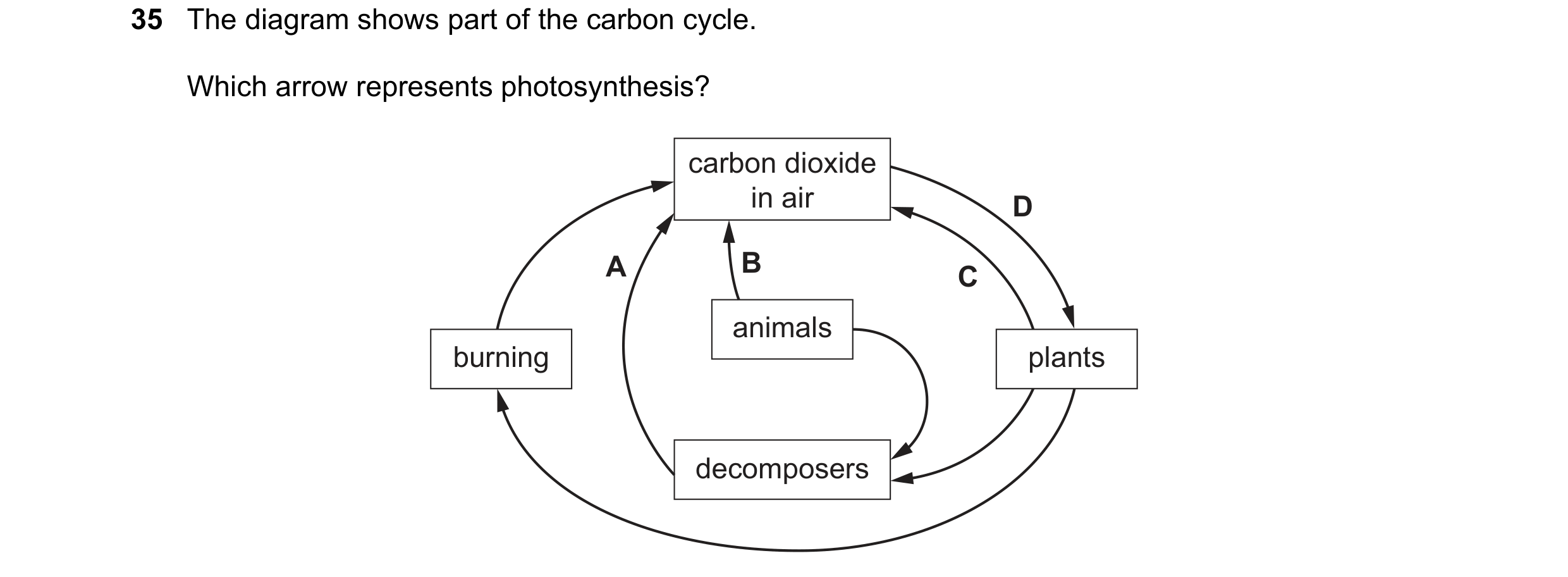 Question 1: The diagram shows part of the carbon cycle. Which arrow represents photosynthesis? carbon dioxide in air D A B C animals burning plants dec…