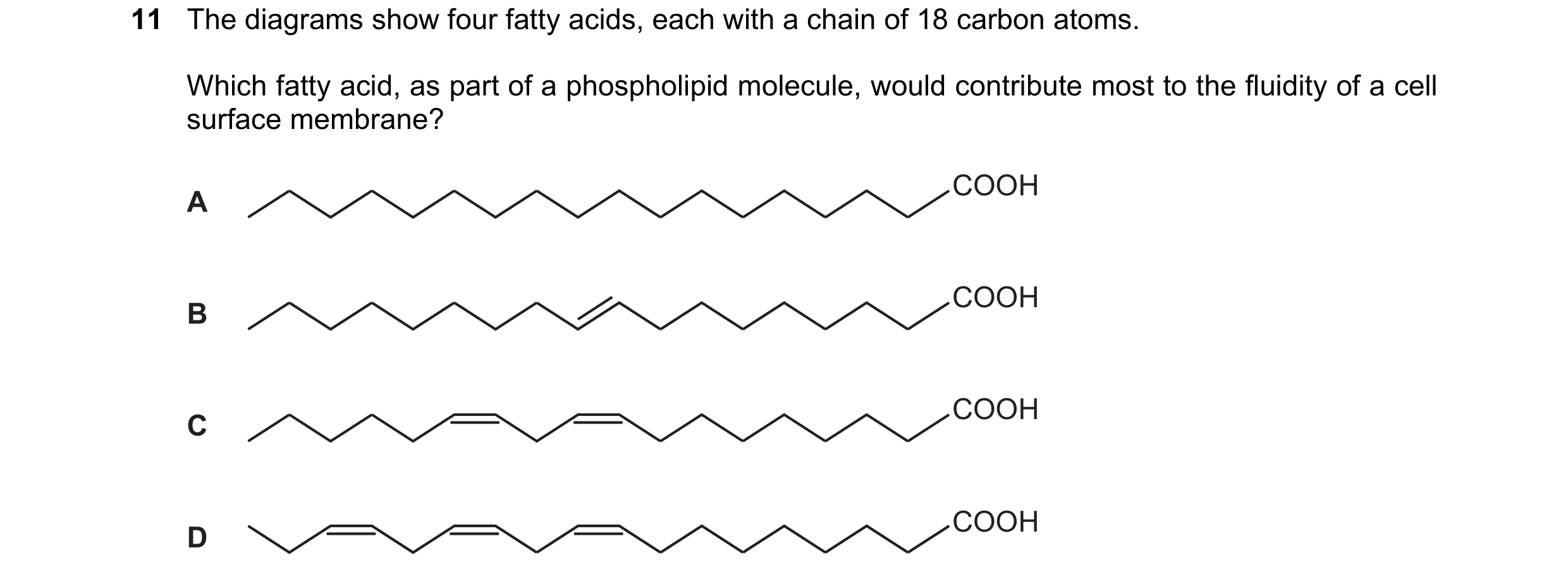 Question 171: The diagrams show four fatty acids, each with a chain of 18 carbon atoms. Which fatty acid, as part of a phospholipid molecule, would contr…