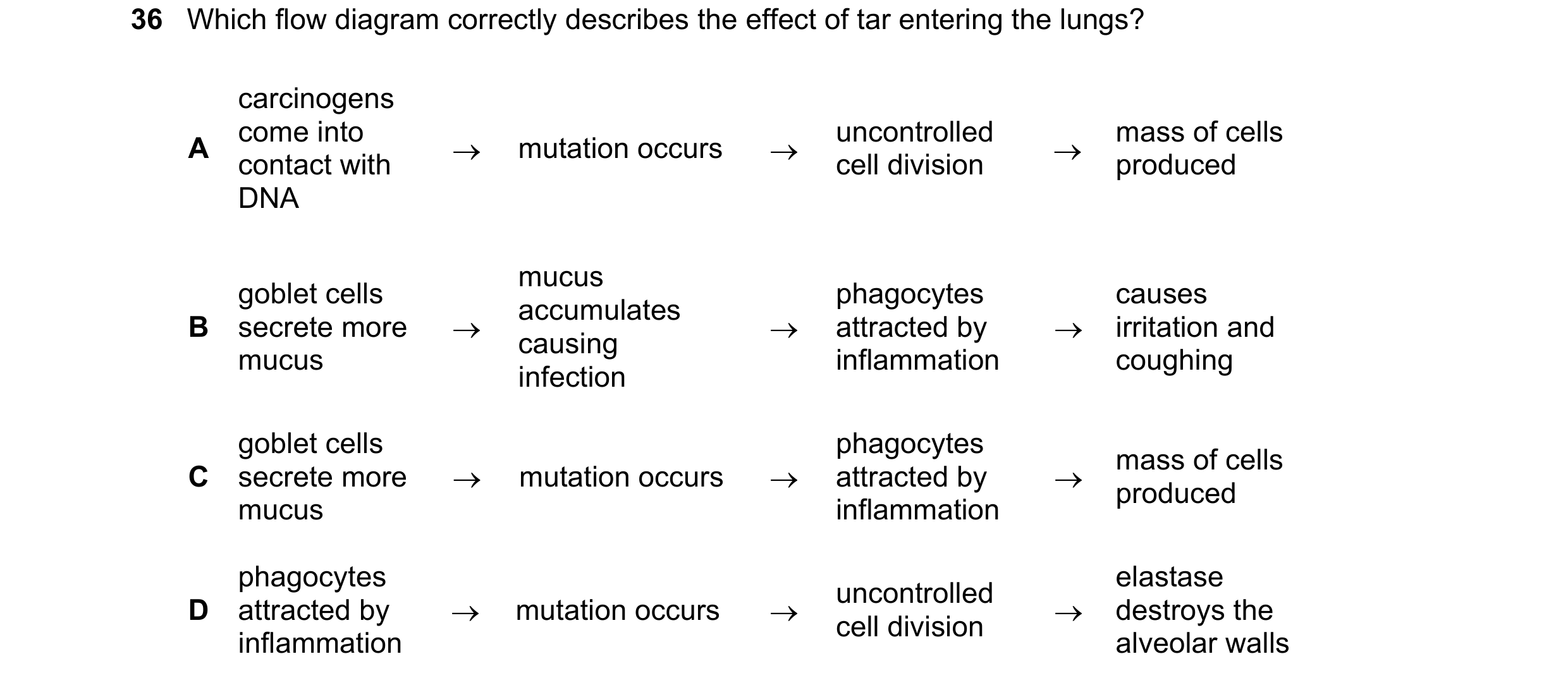 Question 139: Which flow diagram correctly describes the effect of tar entering the lungs? carcinogens come into uncontrolled mass of cells A → mutation …