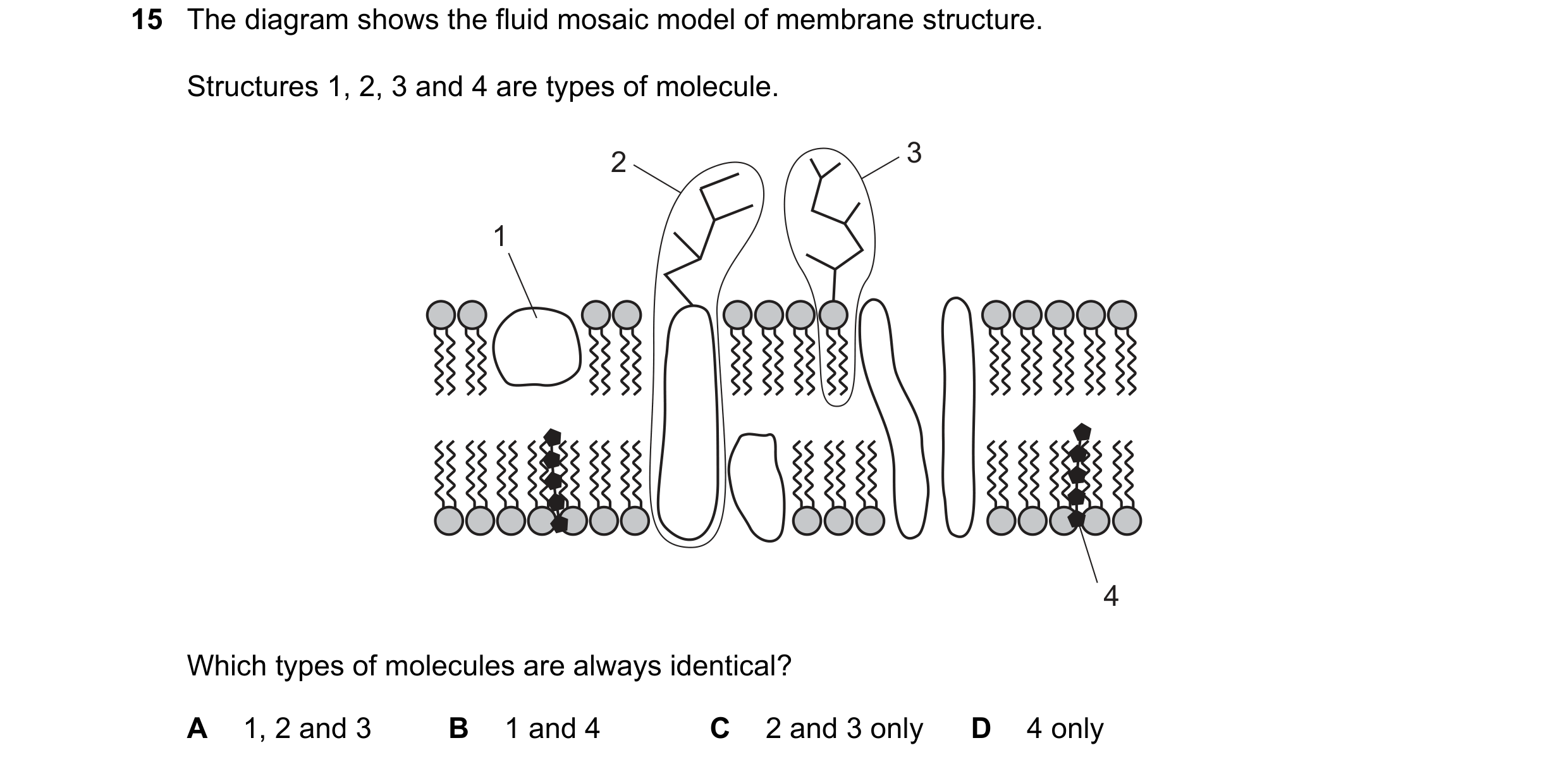 Question 103: The diagram shows the fluid mosaic model of membrane structure. Structures 1, 2, 3 and 4 are types of molecule. 2 3 1 4 Which types of mole…