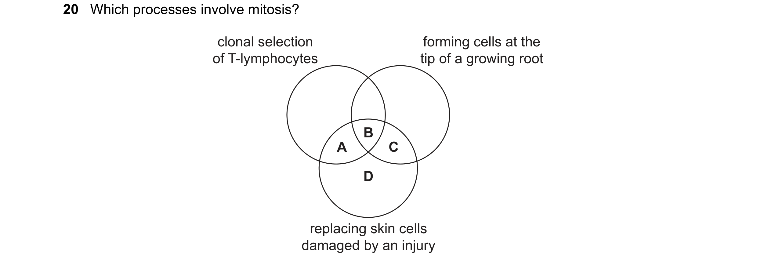 Question 121: Which processes involve mitosis? clonal selection forming cells at the of T-lymphocytes tip of a growing root B A C D replacing skin cells …