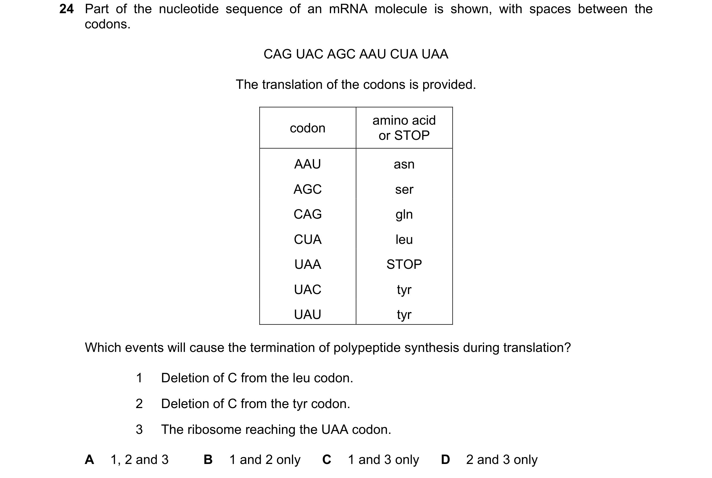 Question 127: Part of the nucleotide sequence of an mRNA molecule is shown, with spaces between the codons. CAG UAC AGC AAU CUA UAA The translation of th…