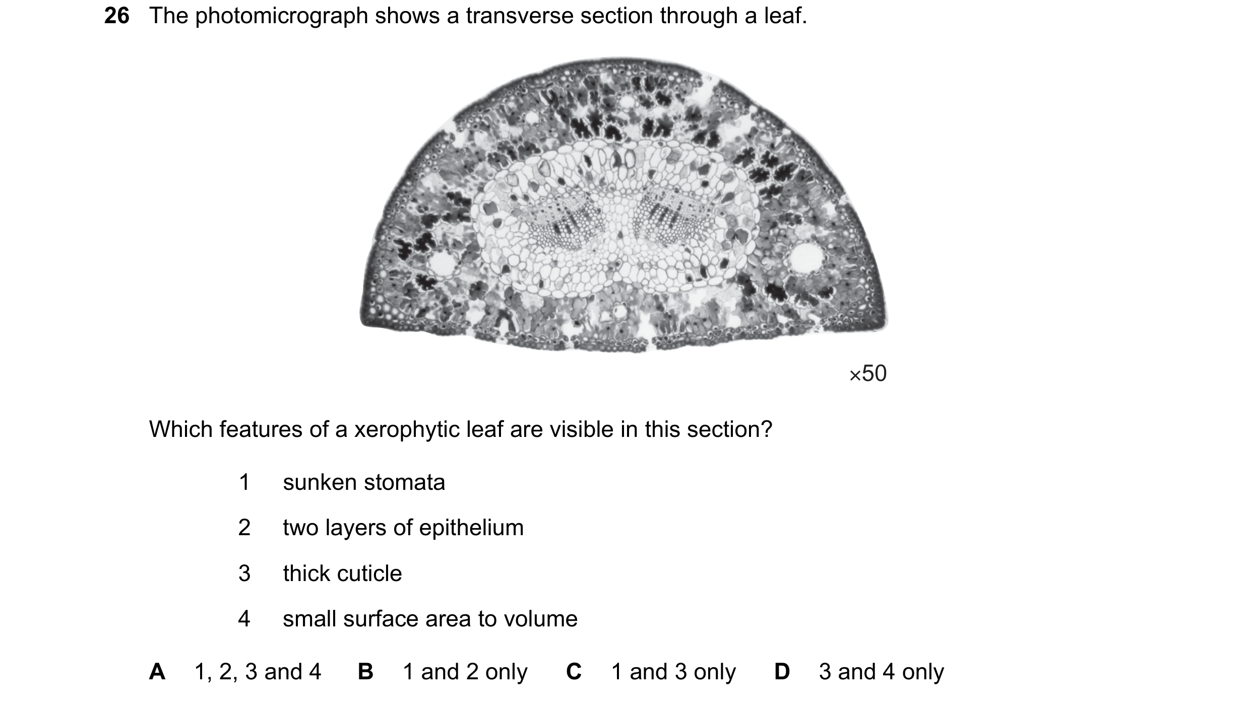 Question 74: The photomicrograph shows a transverse section through a leaf. ×50 Which features of a xerophytic leaf are visible in this section? 1 sunke…