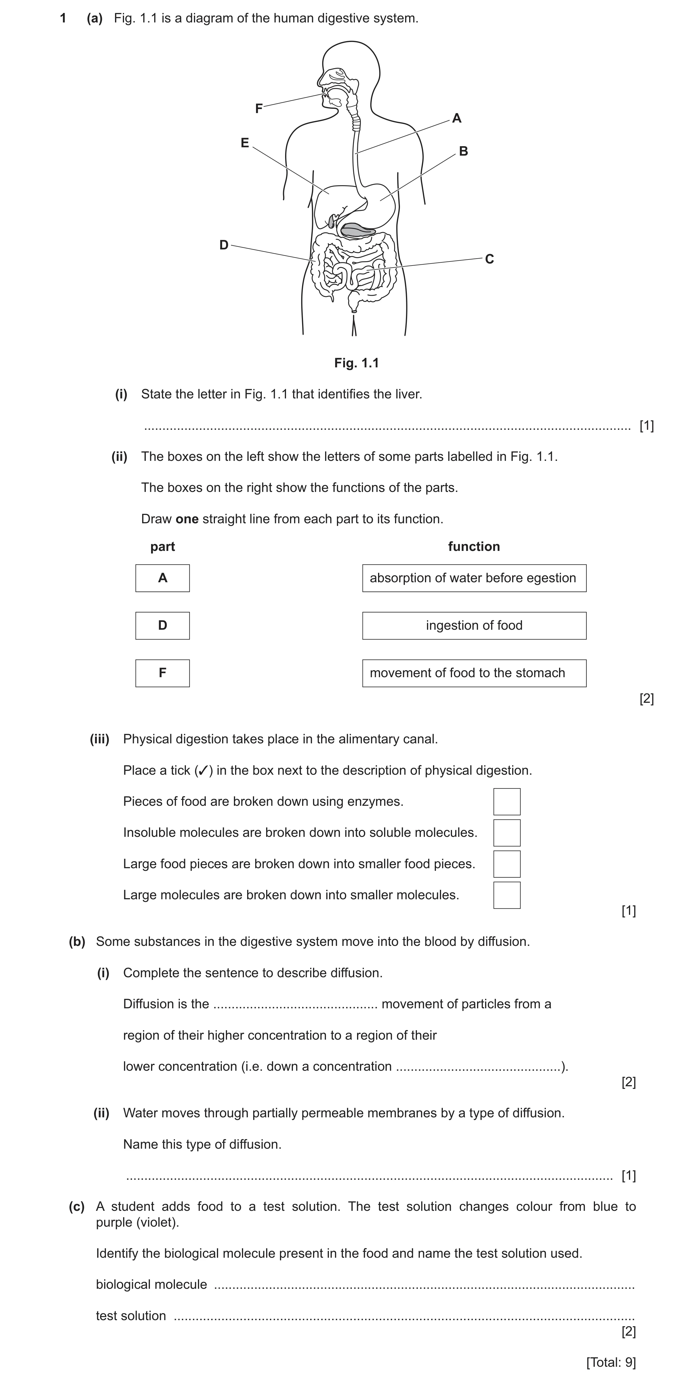 Question 18: (a) Fig. 1.1 is a diagram of the human digestive system. F A E B D C Fig. 1.1 (i) State the letter in Fig. 1.1 that identifies the liver. .…