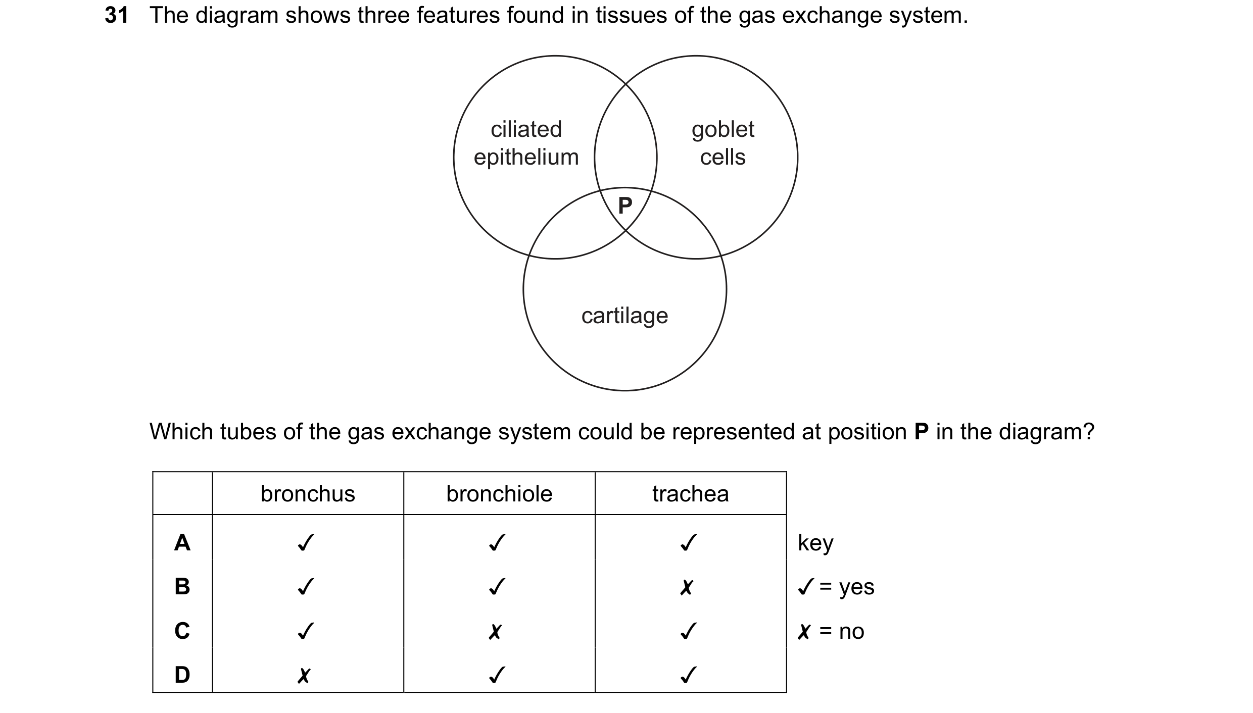 Question 142: The diagram shows three features found in tissues of the gas exchange system.
ciliated
epithelium
cartilage
Which tubes of the gas excha…
