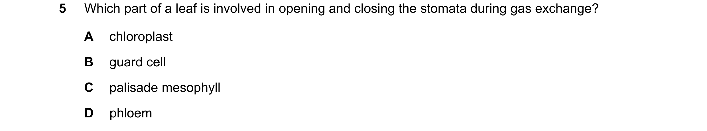 Question 8: Which part of a leaf is involved in opening and closing the stomata during gas exchange? A chloroplast B guard cell C palisade mesophyll D …
