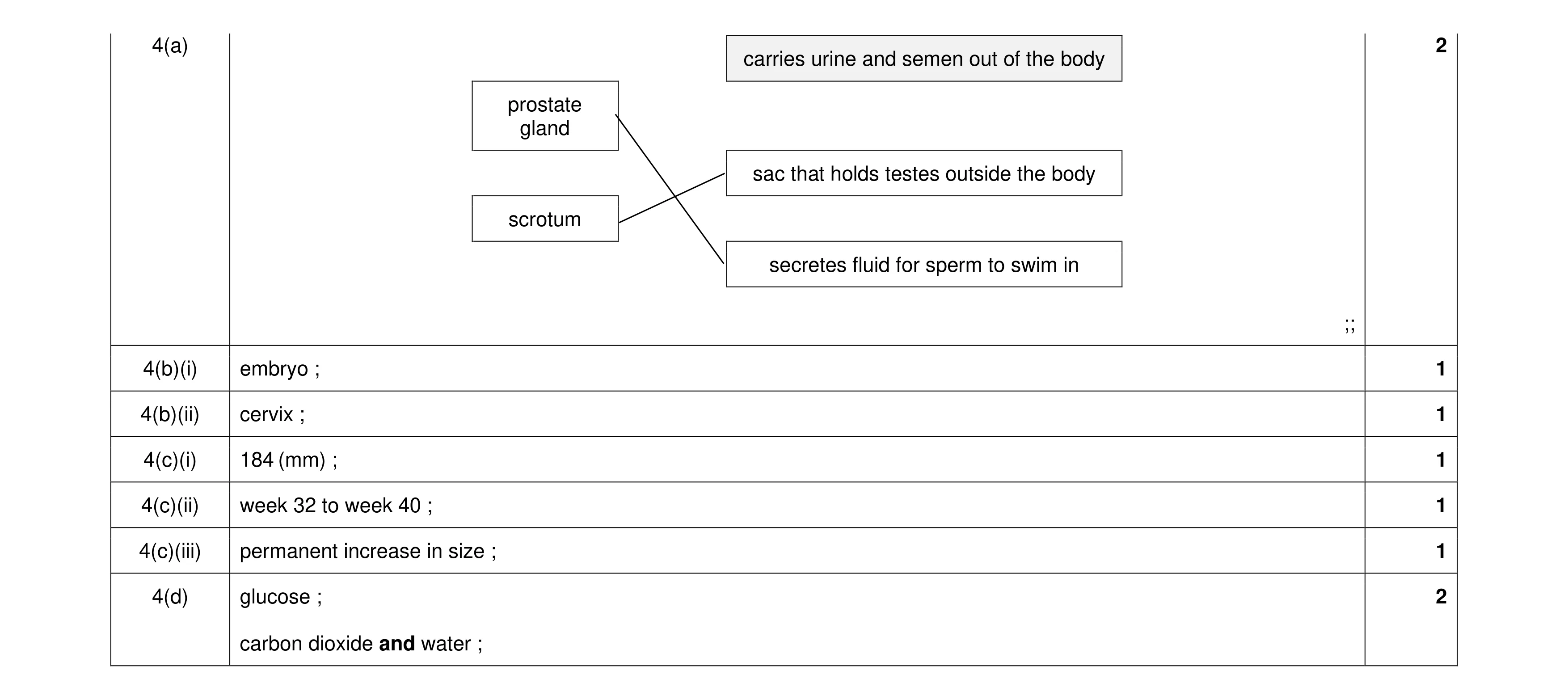 Mark scheme for question 15