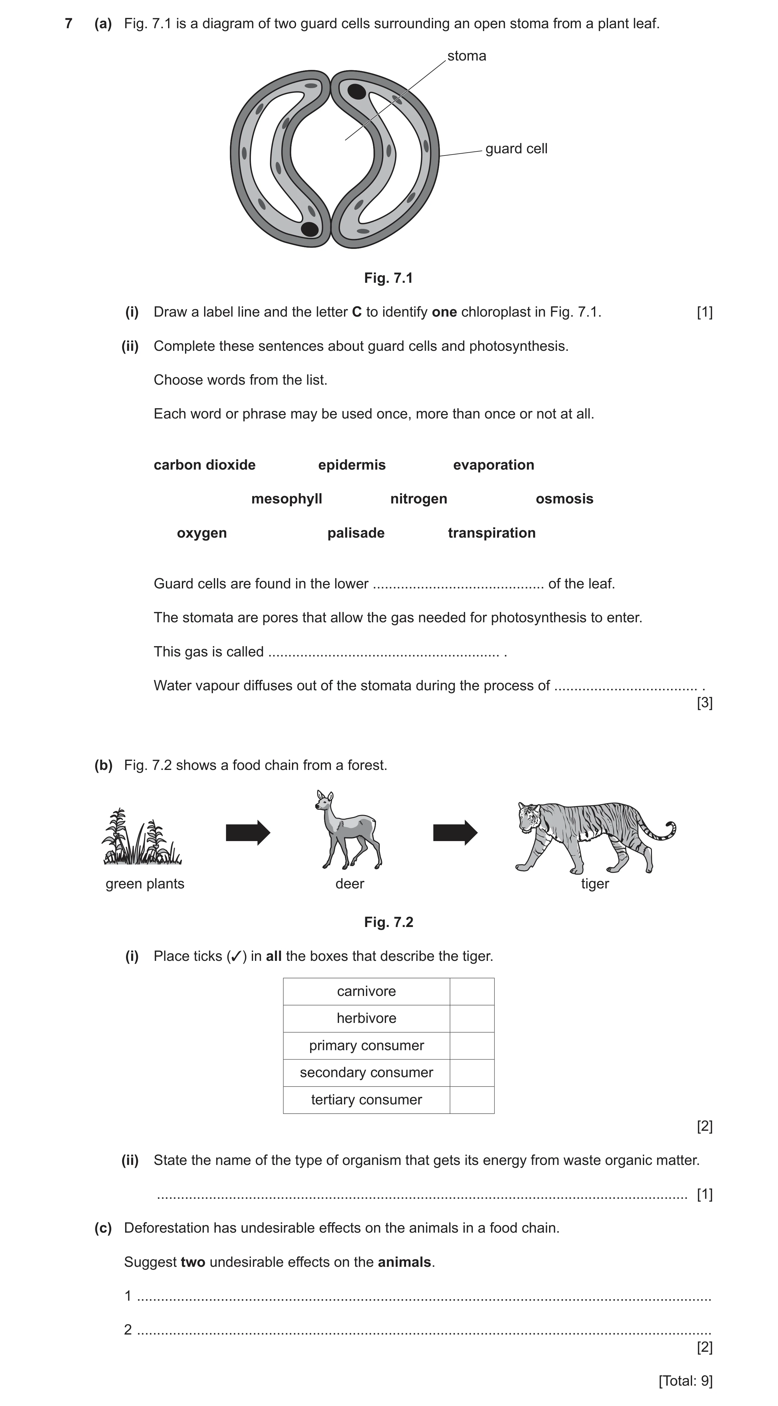 Question 9: (a) Fig. 7.1 is a diagram of two guard cells surrounding an open stoma from a plant leaf. stoma guard cell Fig. 7.1 (i) Draw a label line a…