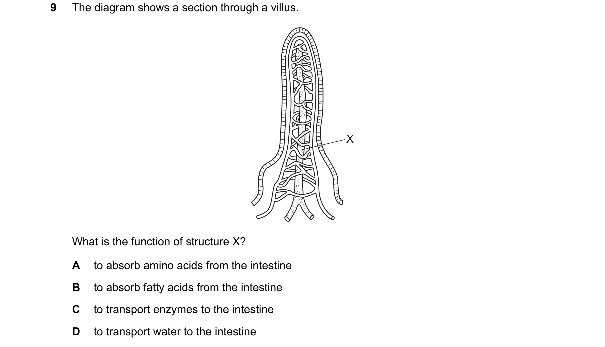 Question 2: The diagram shows a section through a villus. X What is the function of structure X? A to absorb amino acids from the intestine B to absorb…