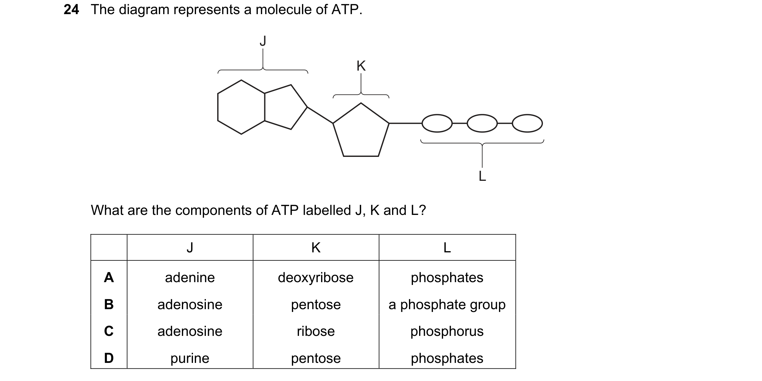 Question 230: The diagram represents a molecule of ATP. J K L What are the components of ATP labelled J, K and L? J K L A adenine deoxyribose phosphates …