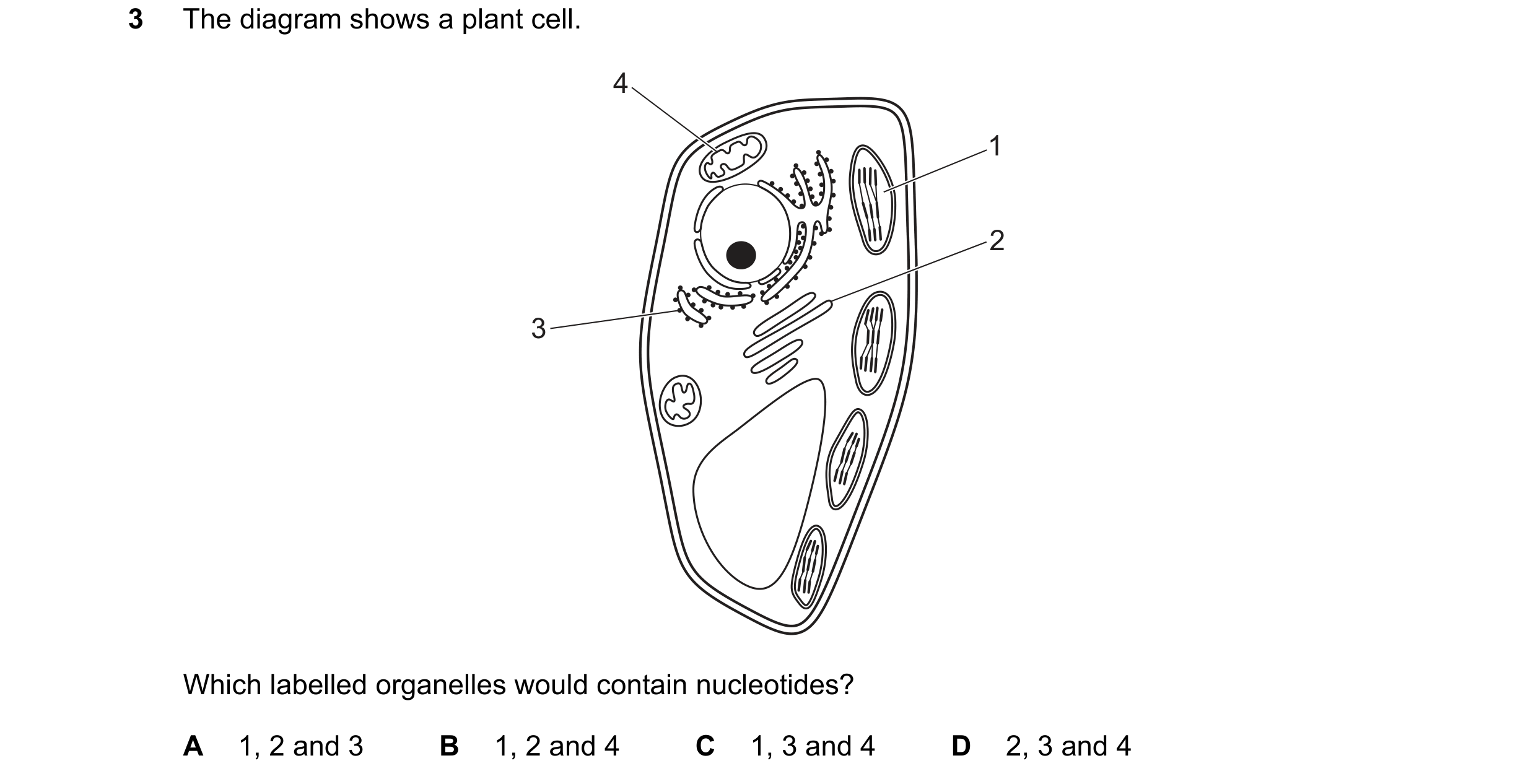Question 389: The diagram shows a plant cell. 4 1 2 3 Which labelled organelles would contain nucleotides? A 1, 2 and 3 B 1, 2 and 4 C 1, 3 and 4 D 2, 3 …